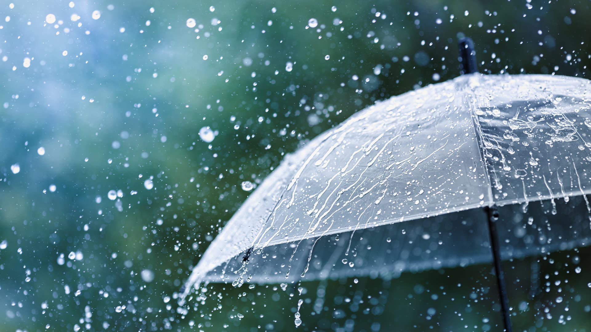 Regenschirm-zum-Mitnehmen