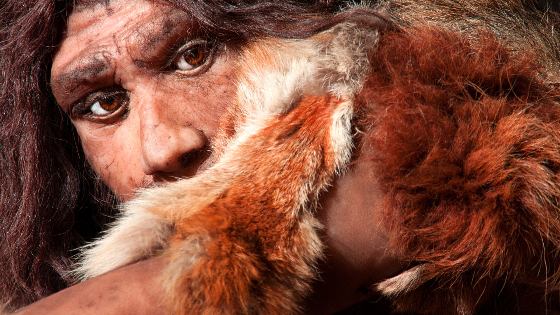 België: Neanderthalers aten hun eigen soort