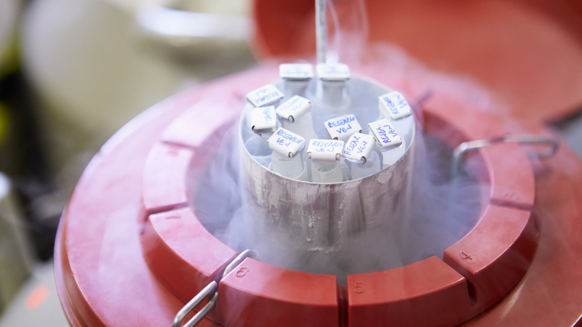 Samenspende-Wie-viele-Kinder-sind-zu-viele-