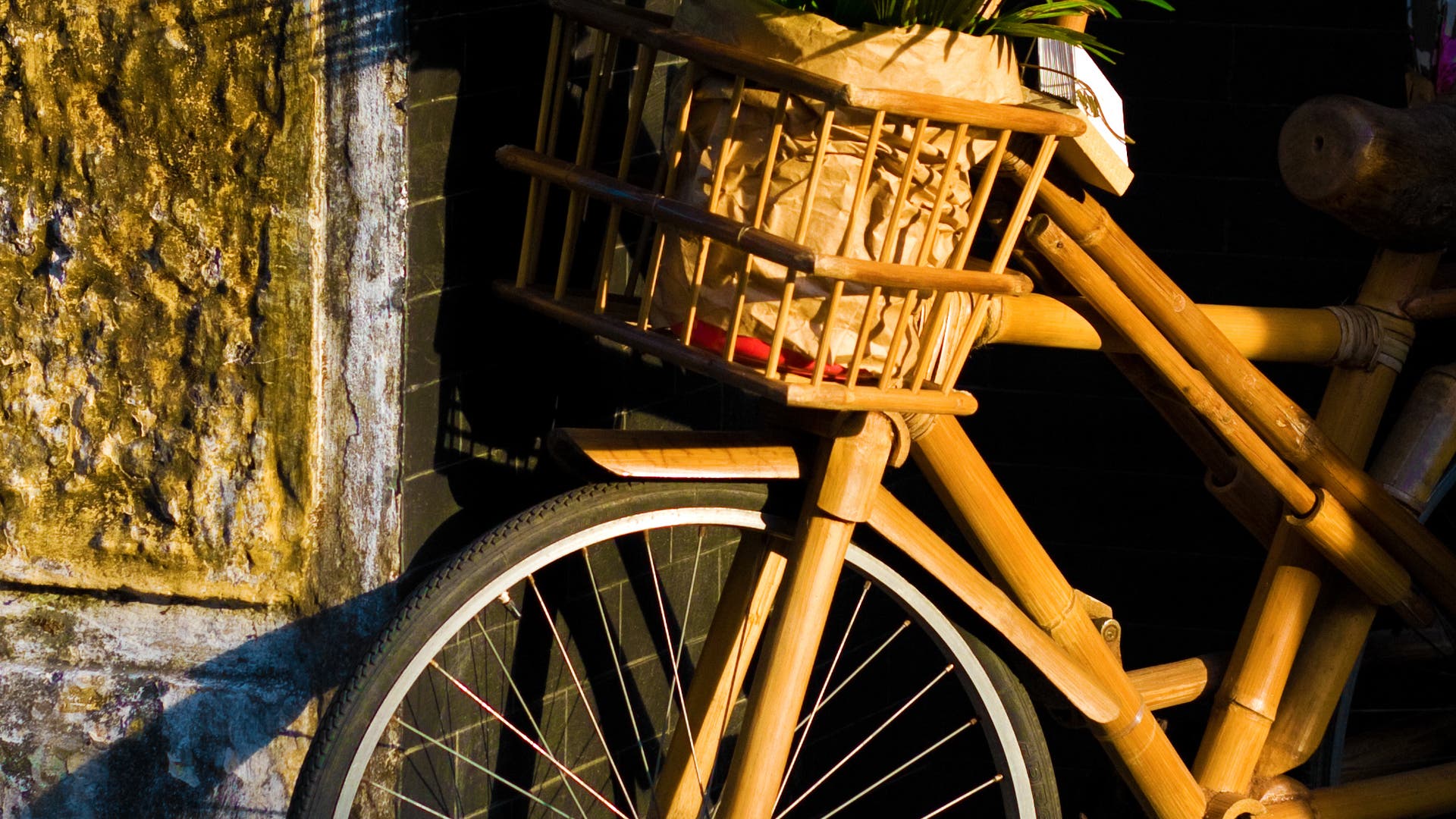 Von-der-Warteschleife-in-den-Tod-Mit-dem-Fahrrad-in-die-Freiheit