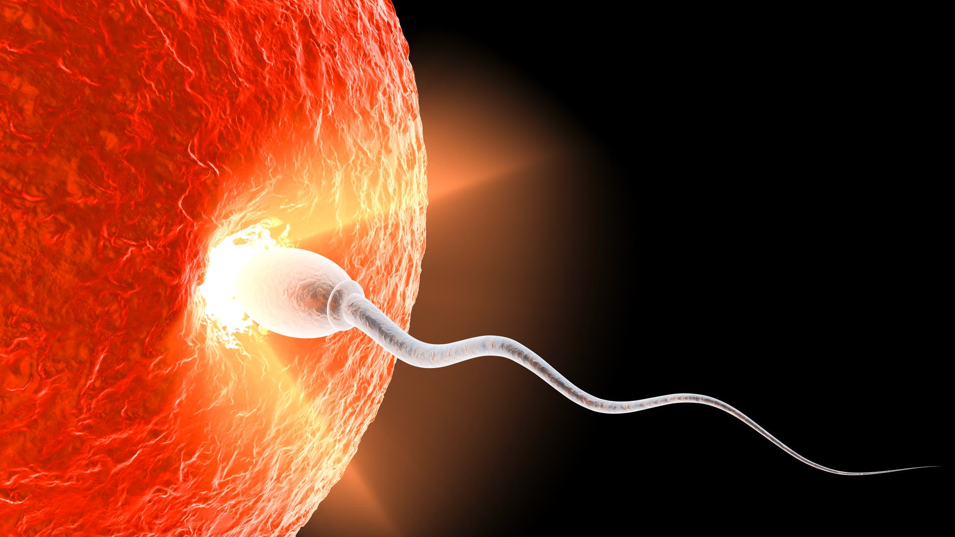 Wie brechen Spermien das dritte Newtonsche Gesetz?
