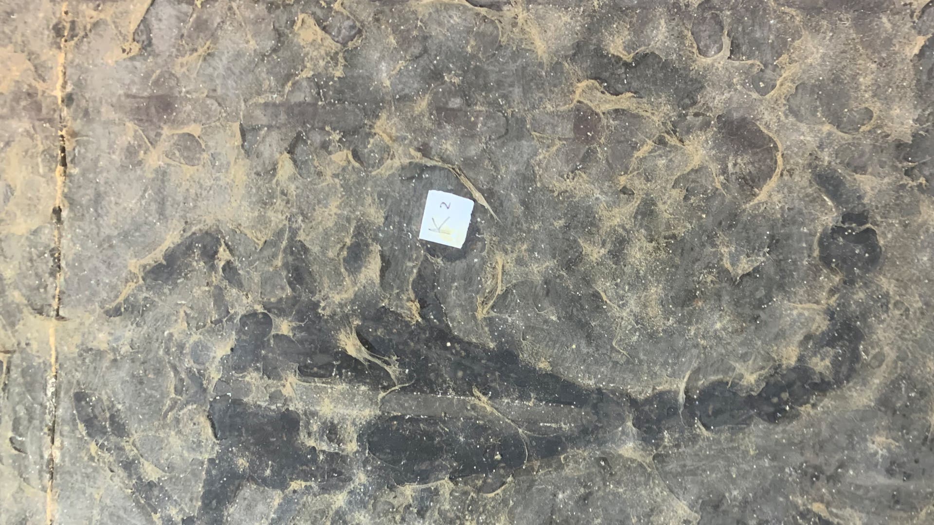 Eine alte, verwitterte Steinoberfläche mit einer verblassten Zeichnung eines Skorpions. In der Mitte des Bildes befindet sich ein kleines, quadratisches Papier mit der handgeschriebenen Zahl "2" und einem Pfeil, der nach unten zeigt. Die Oberfläche ist uneben und zeigt Spuren von Abnutzung und Verwitterung.