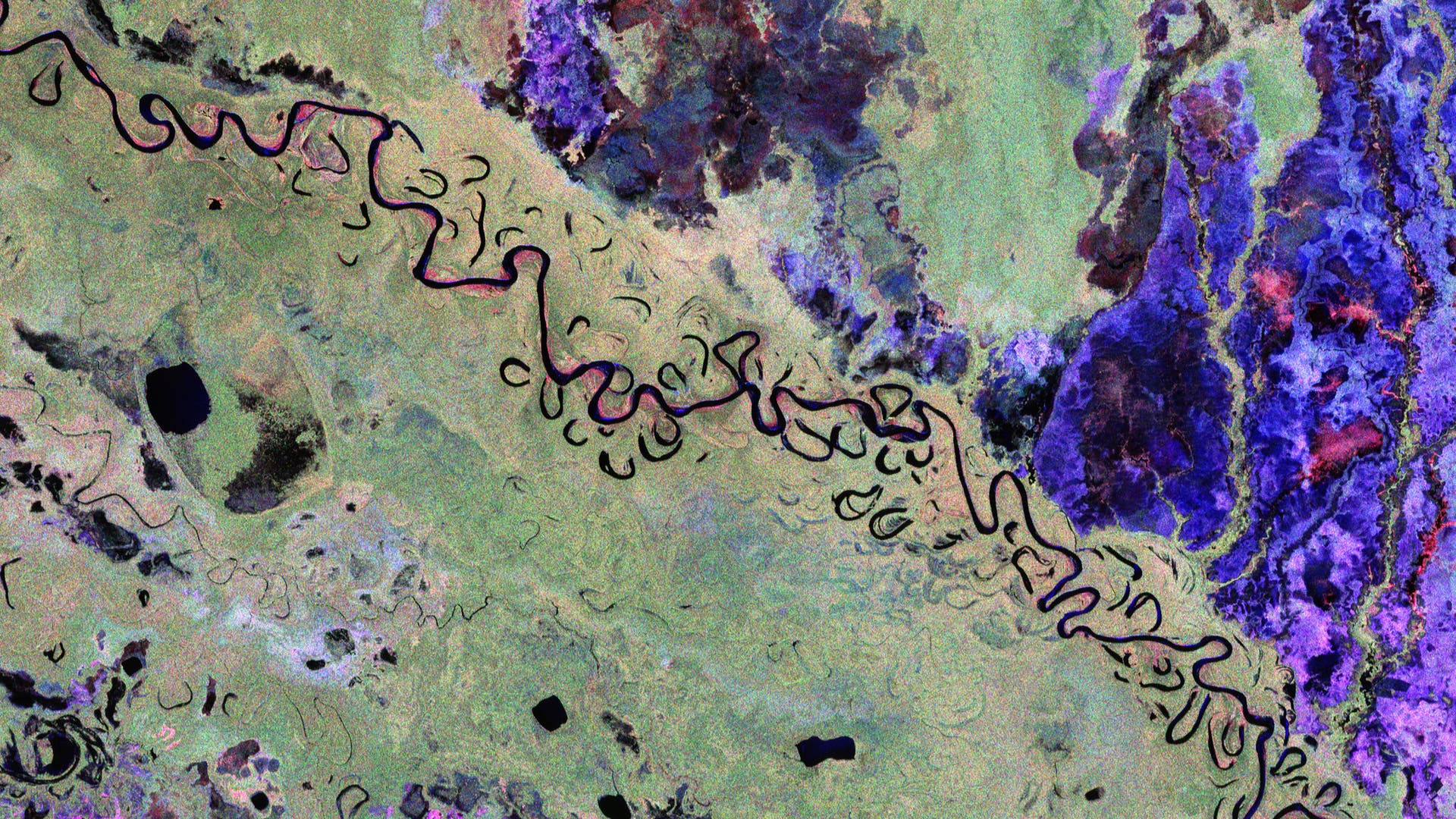 Bilder-der-Woche-Satellit-schaut-dem-Wald-unters-Bl-tterdach
