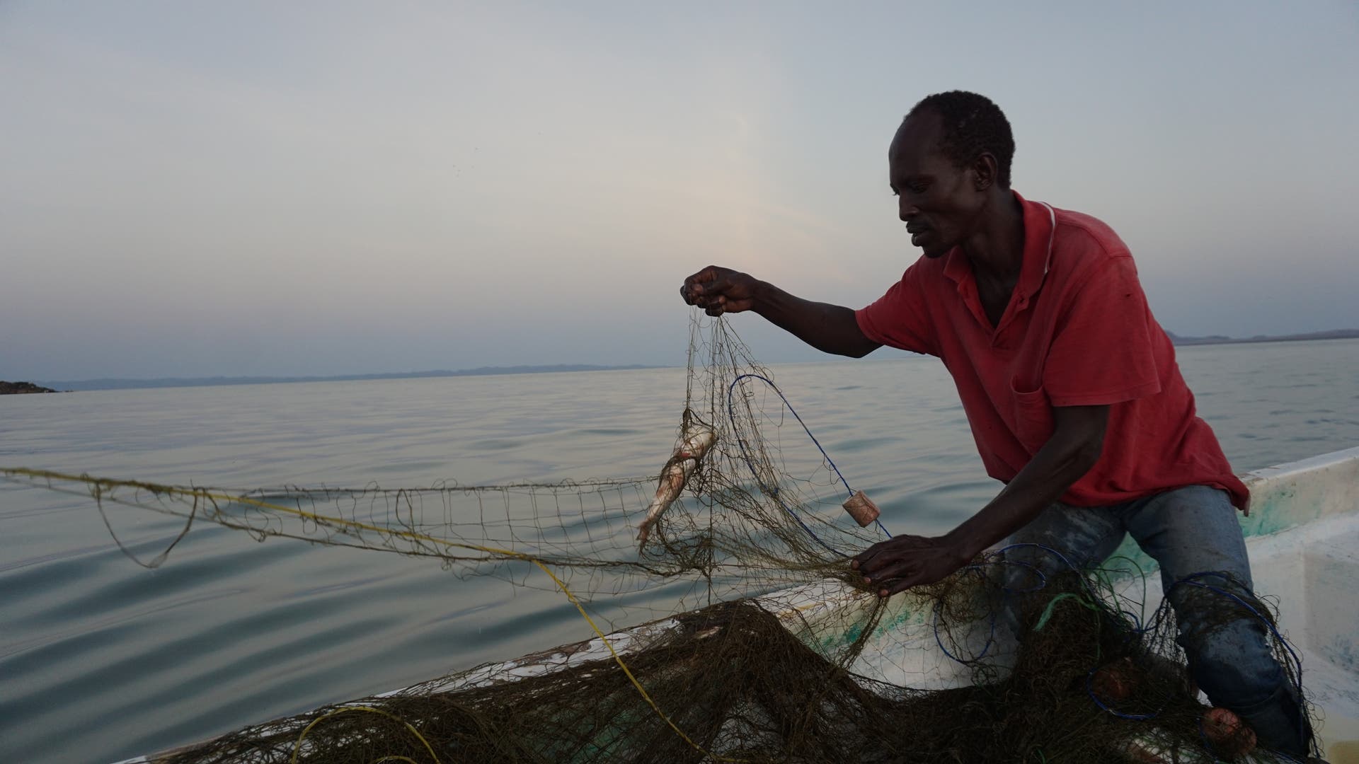 Ein Fischer zieht ein Netz aus dem Wasser, in dem ein Fisch hängt.