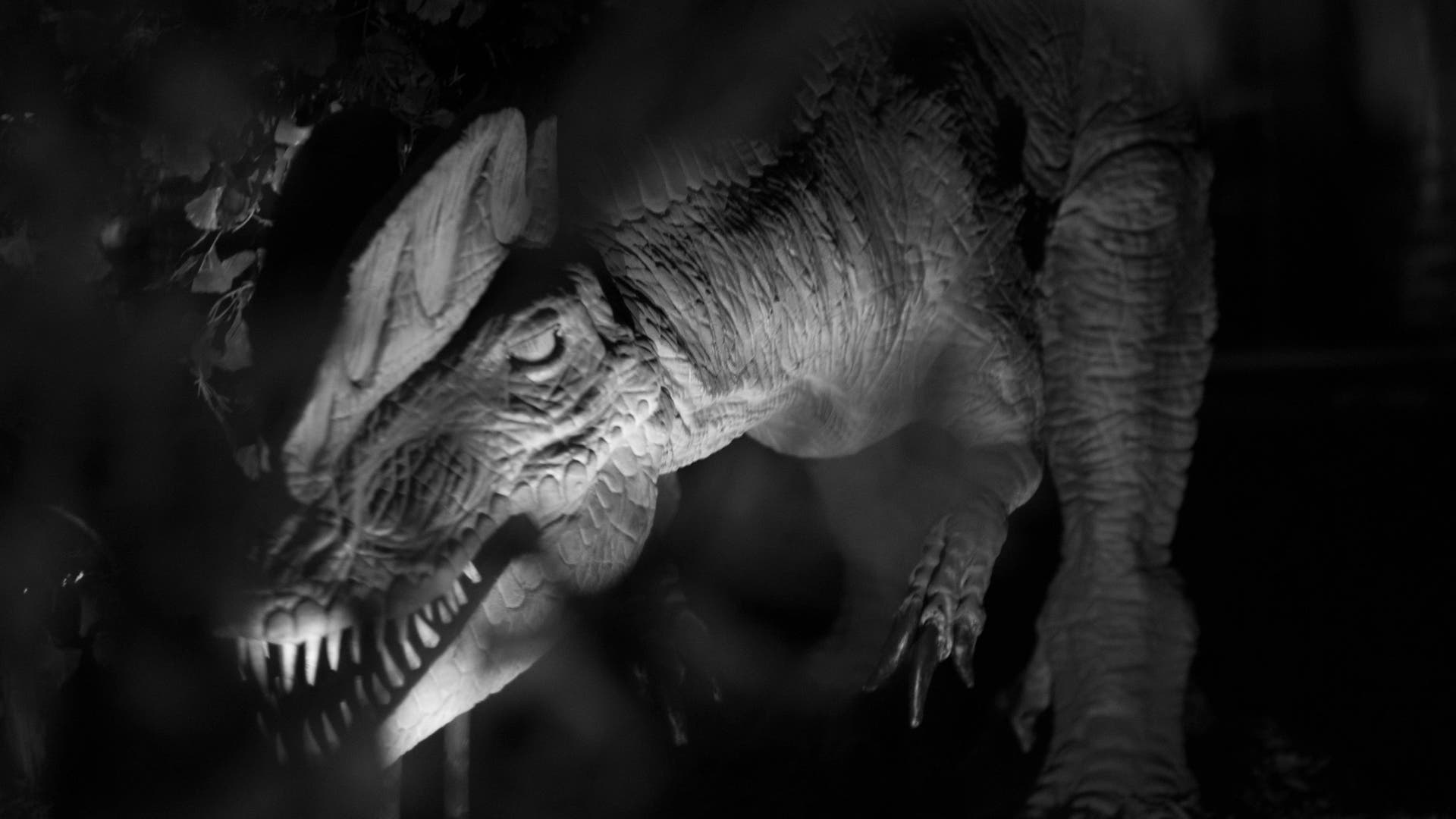 Paläontologie Wer war Dilophosaurus? Spektrum der Wissenschaft