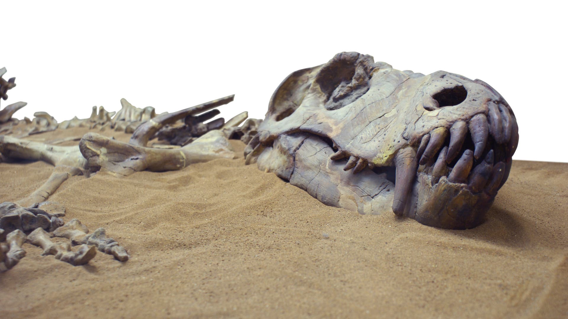 Paläoklima Spektrum der Wissenschaft