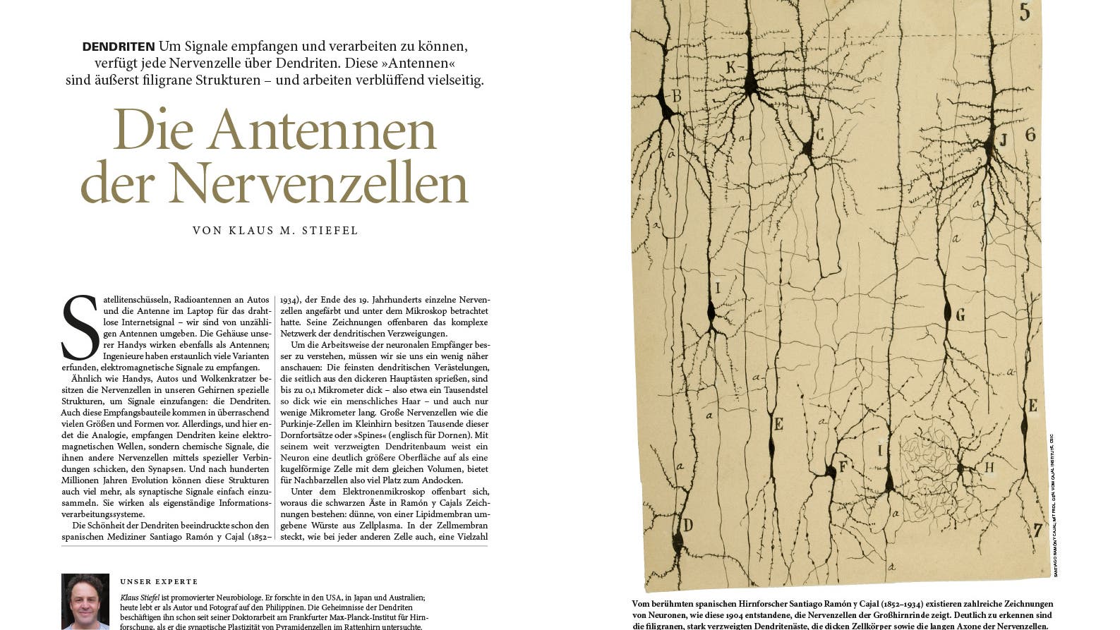 Gehirn&Geist – Das Magazin für Psychologie, Hirnforschung und Medizin