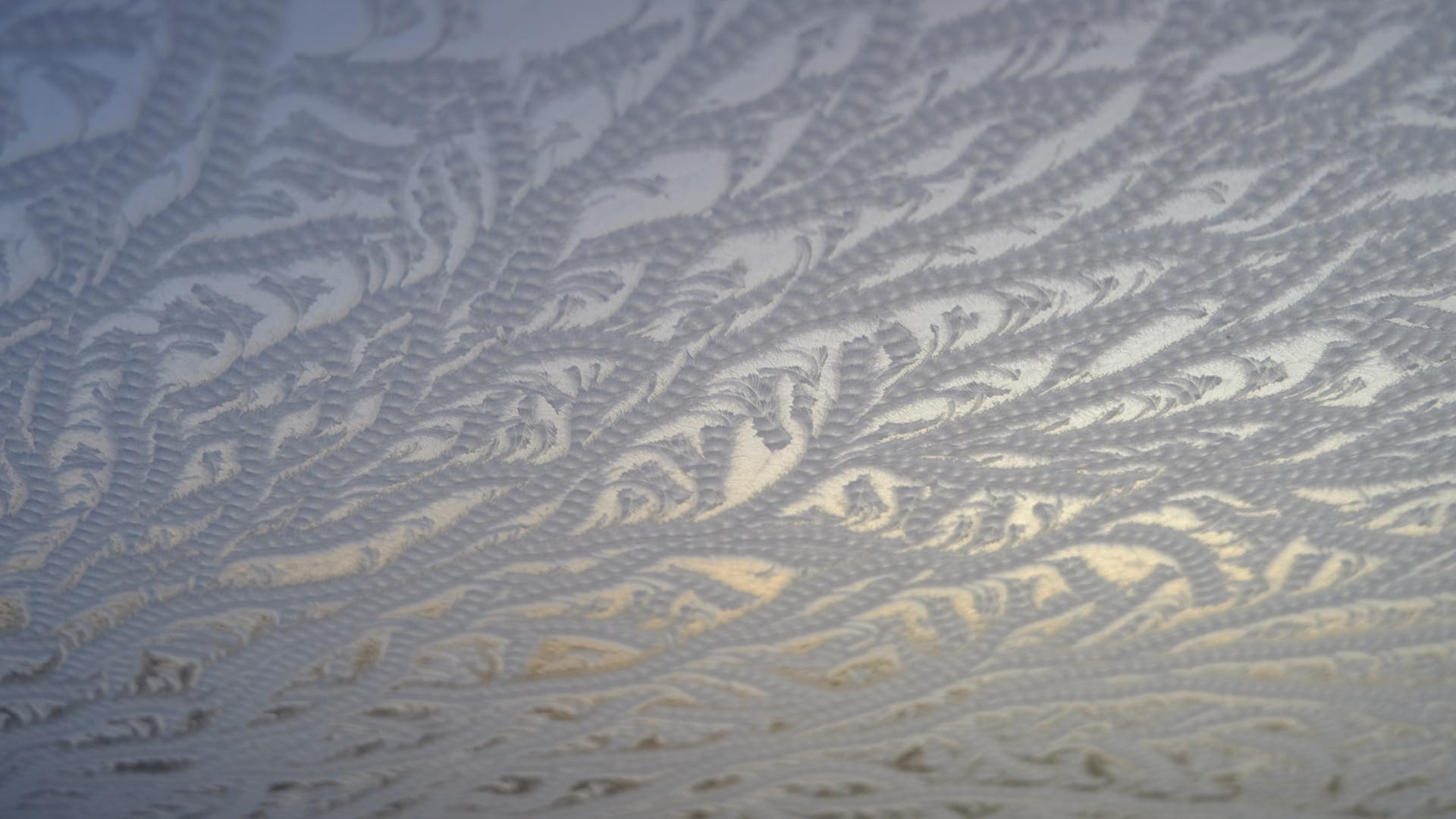 Schlichting-Die-bedrohte-Pracht-der-Eisblumen