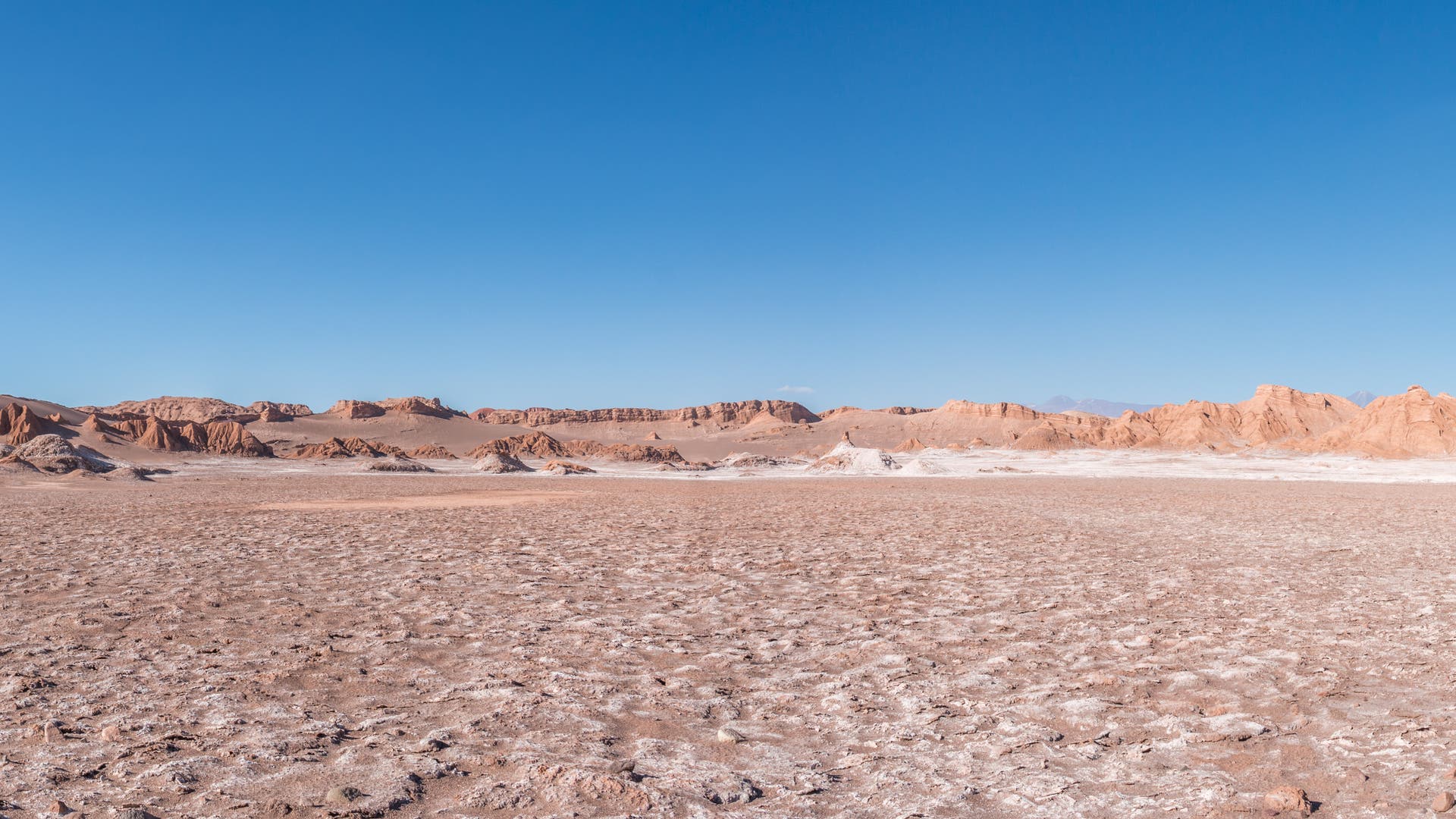 Atacama: Seen in der trockensten Wüste der Welt - Spektrum der Wissenschaft