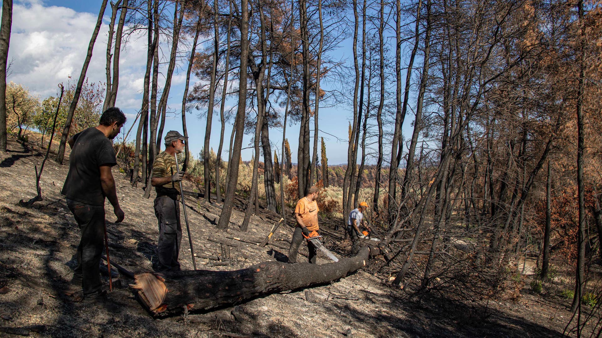 Jahrzehntelange-Sch-den-Welt-verliert-durch-Waldbr-nde-massiv-an-fruchtbarem-Boden