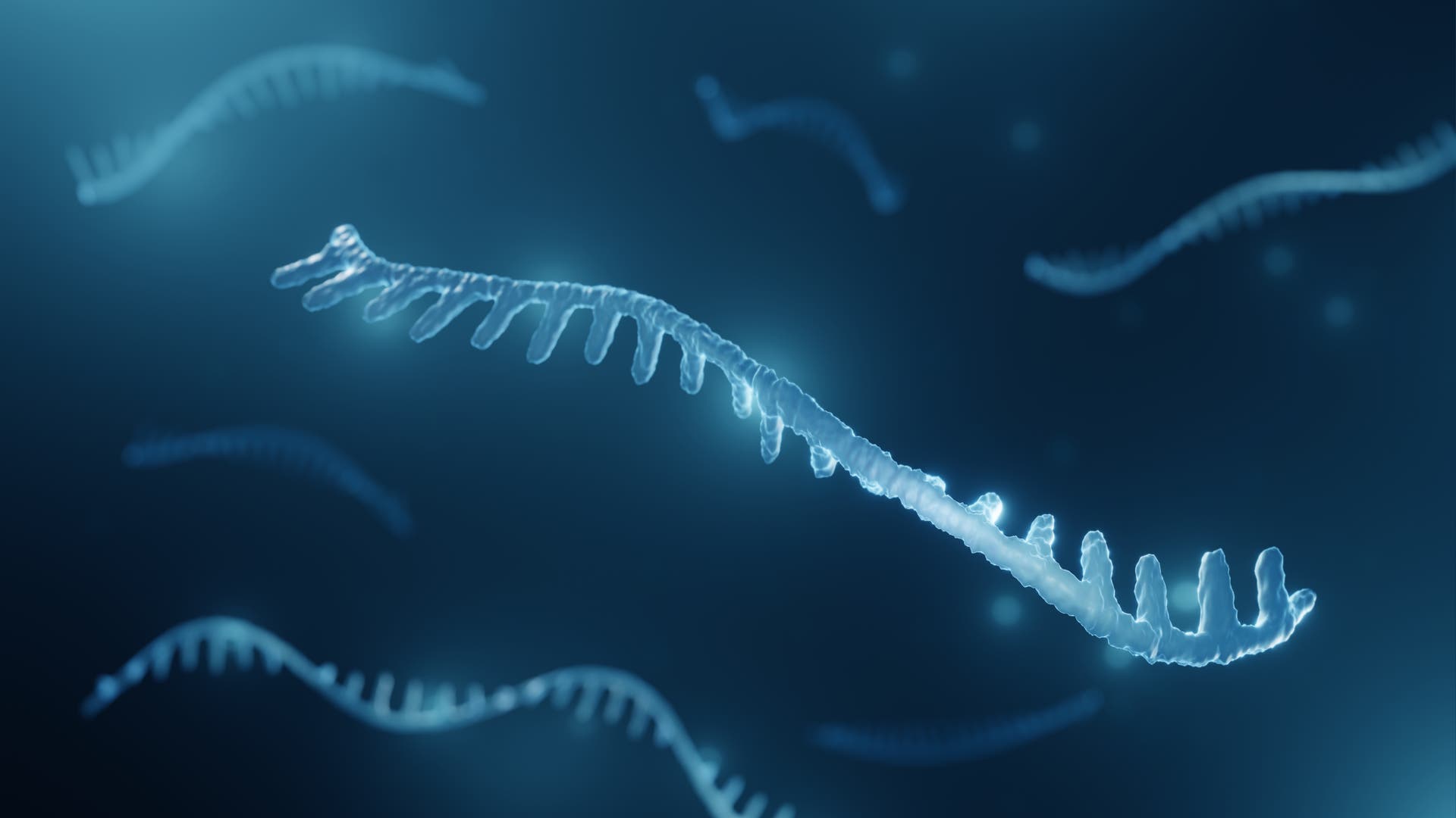 die-rna-revolution