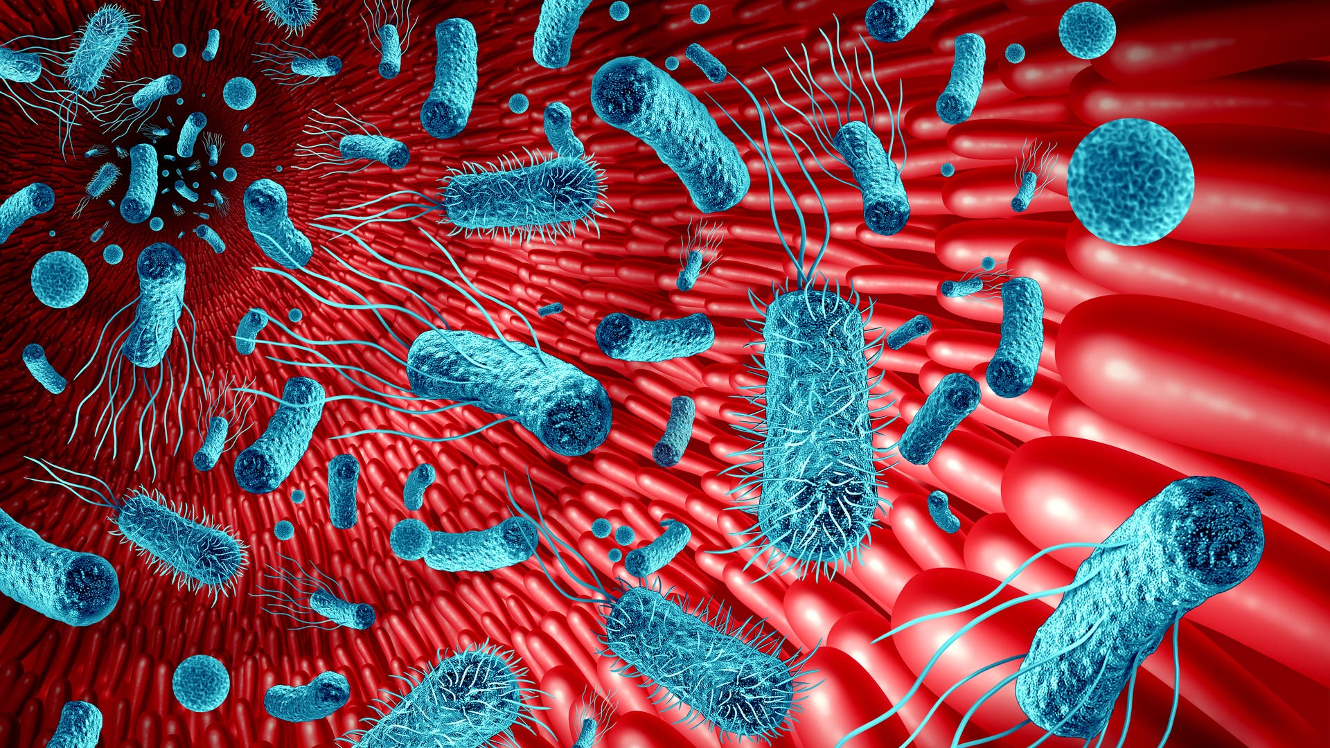 Was-Archaeen-ber-unsere-Gesundheit-verraten