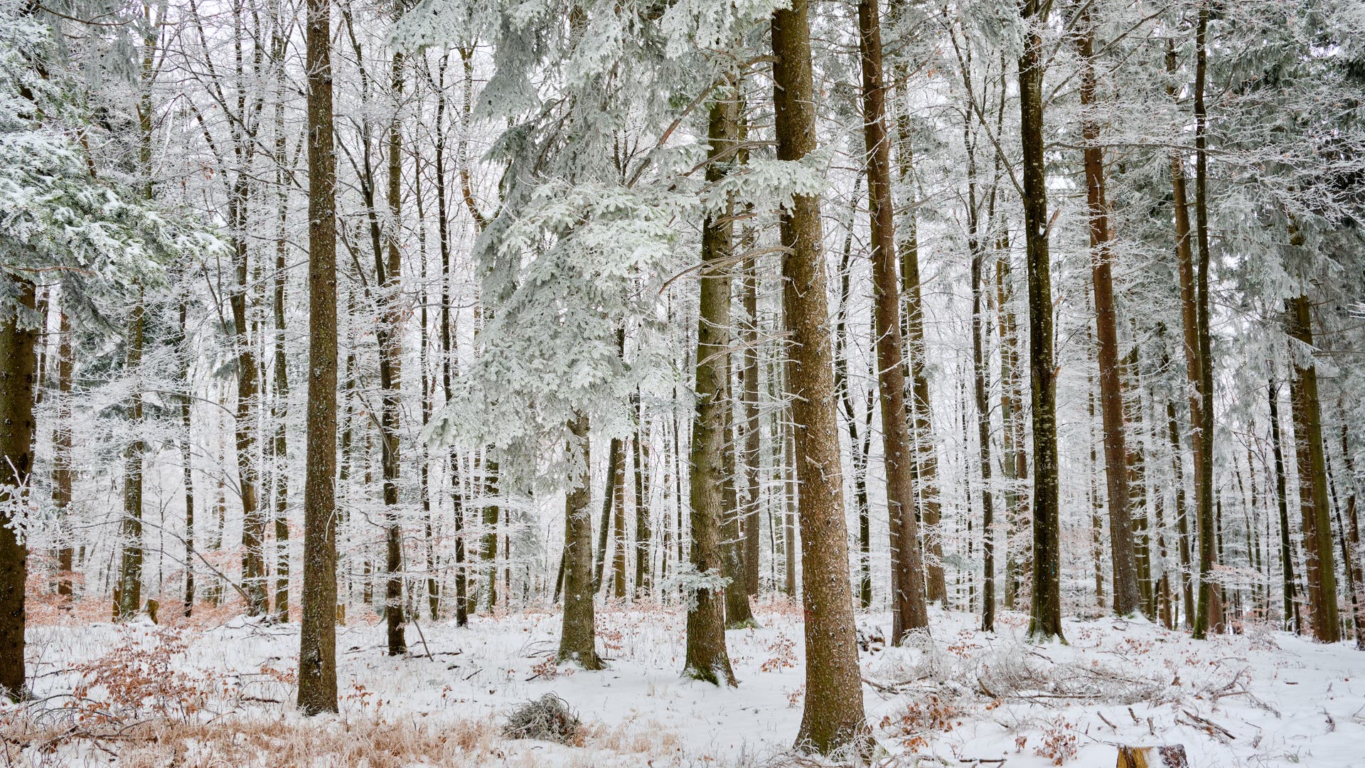 Winter-im-Mittelalter