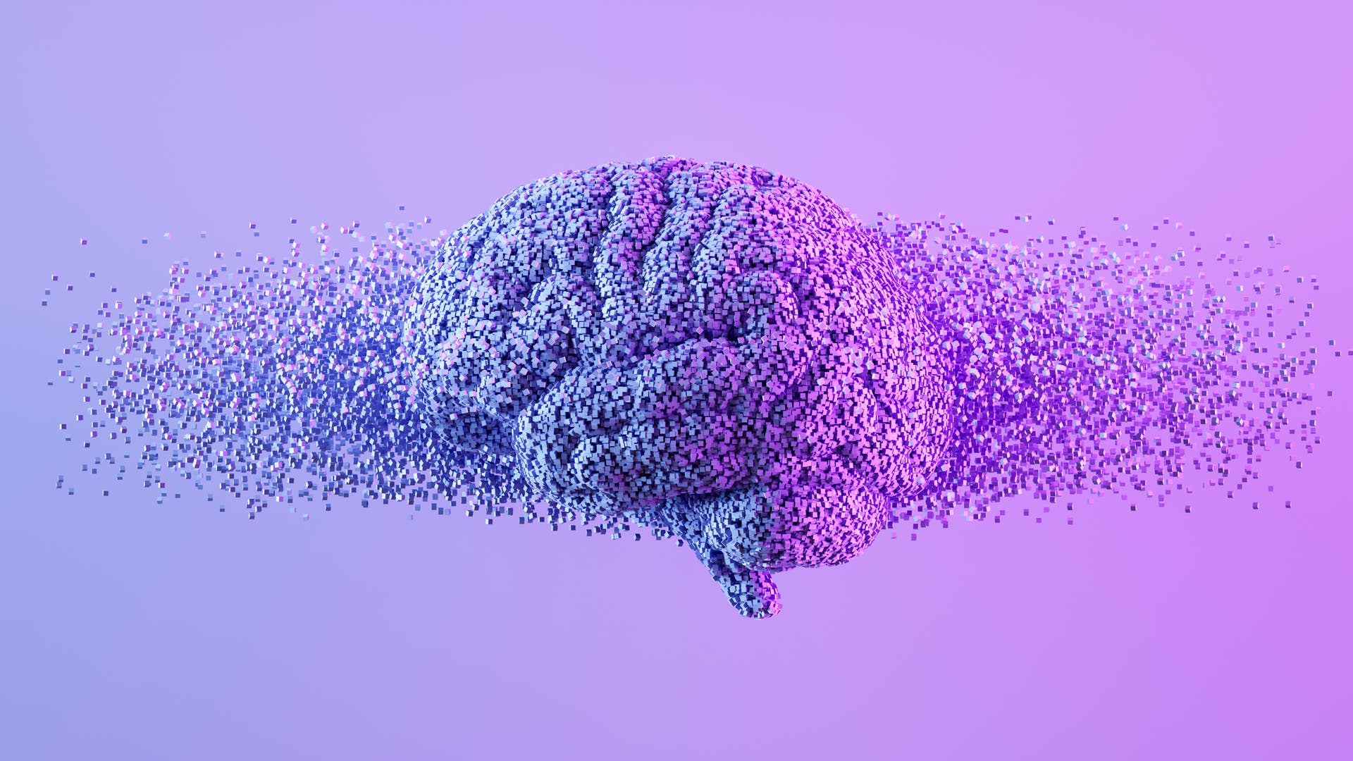 Quantenkognition-Das-Beste-von-Spektrum-de-Denken-wir-quantenmechanisch-