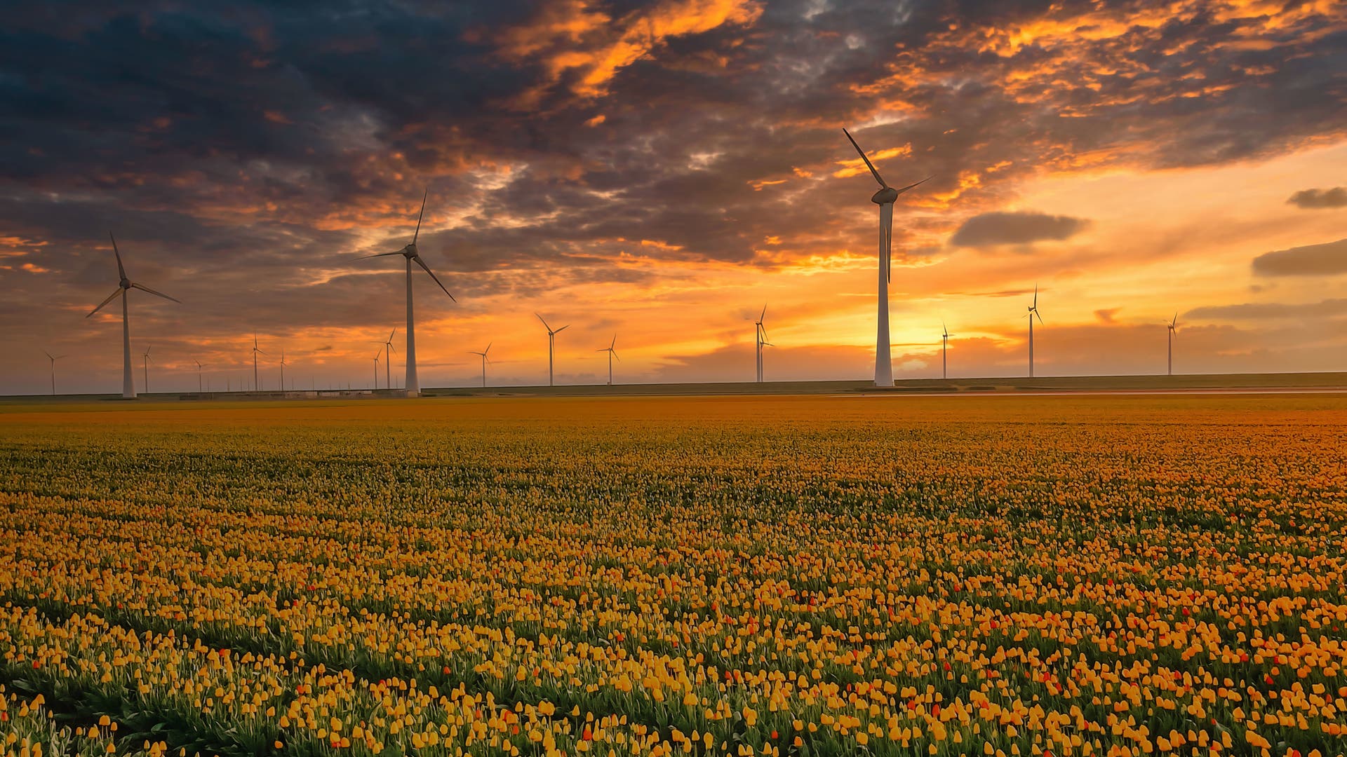 Windkraftpark vor blauem Himmel und grünem Ackerland