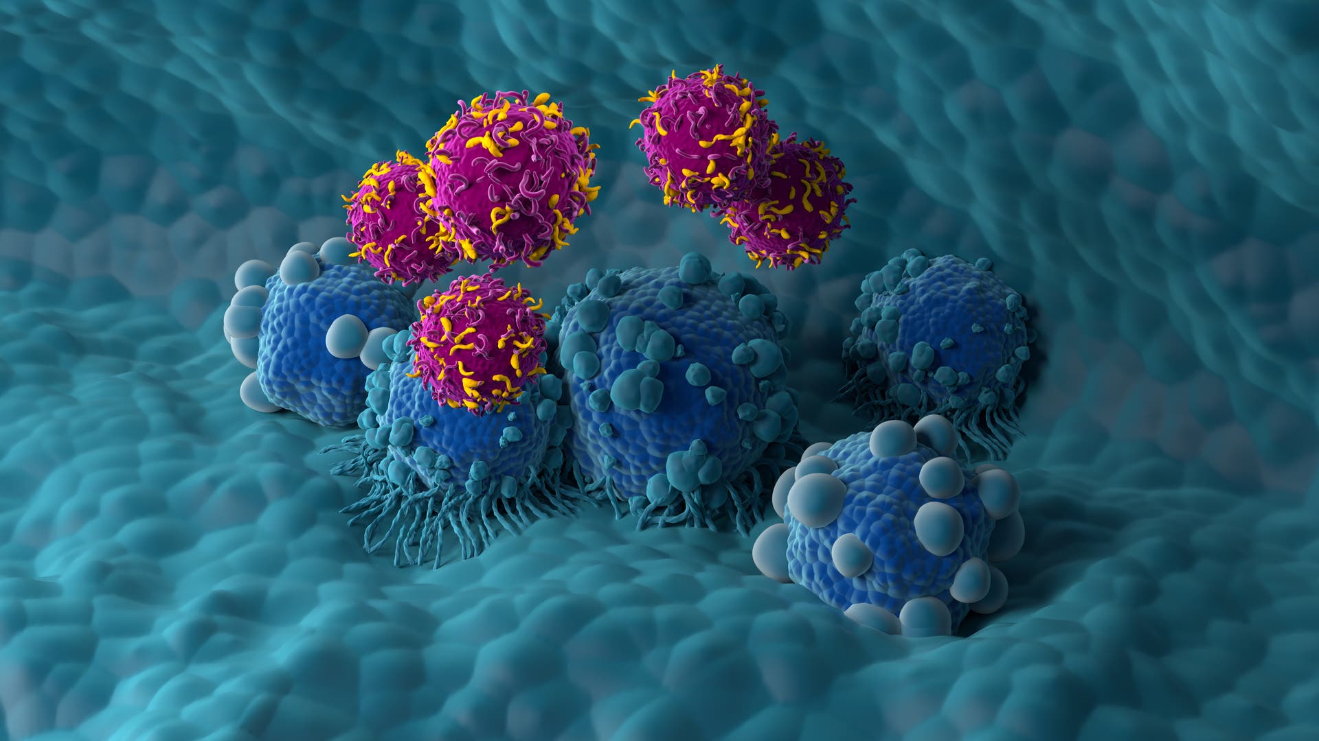 Krebsmedizin-Immuntherapien-haben-einen-gewaltigen-Entwicklungssprung-gemacht-