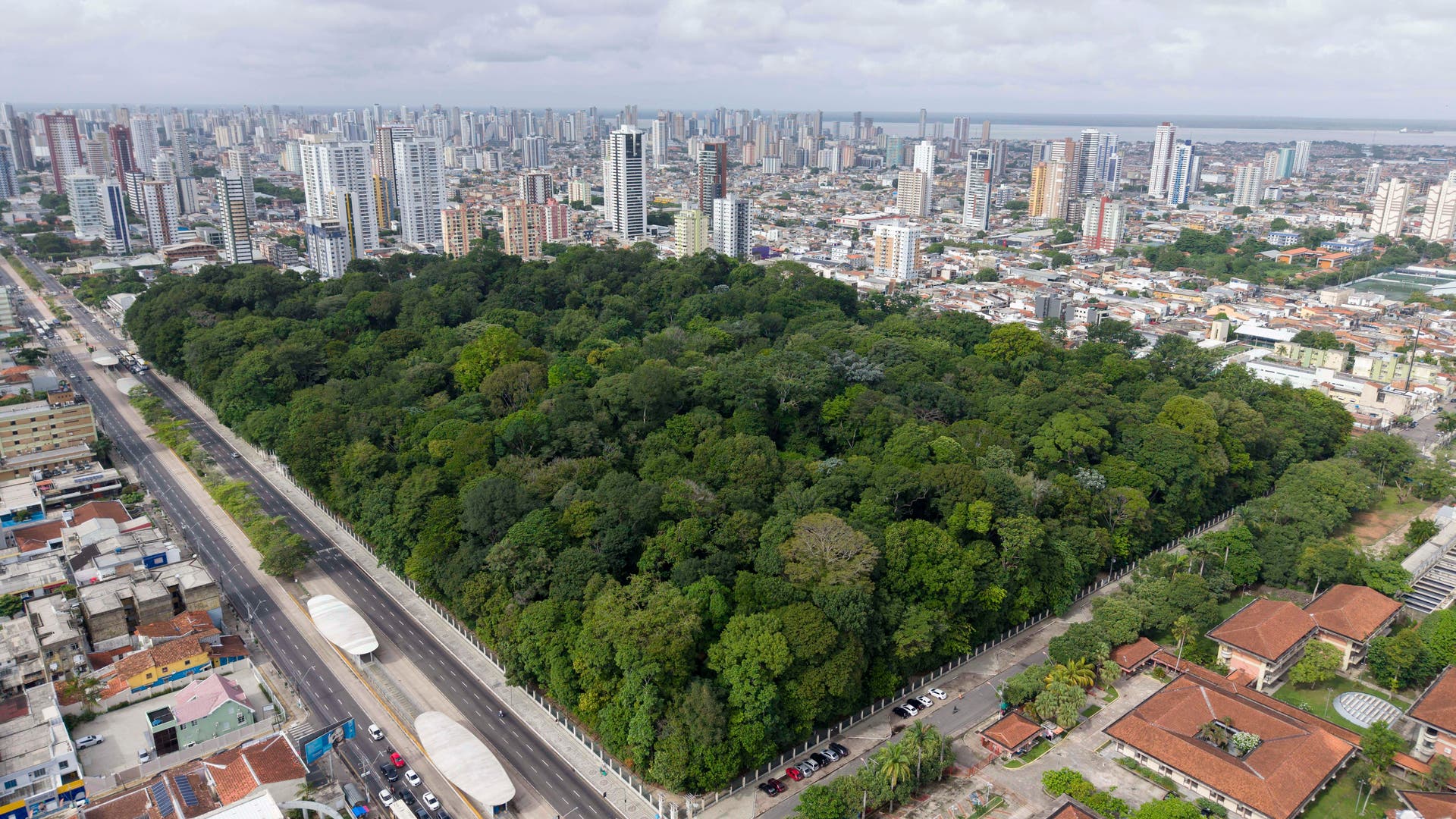 Luftaufnahme eines großen, dicht bewaldeten Parks inmitten einer städtischen Umgebung. Der Park ist von Straßen umgeben, auf denen Autos fahren. Im Hintergrund erstreckt sich eine Skyline mit zahlreichen Hochhäusern. Der Himmel ist bewölkt.