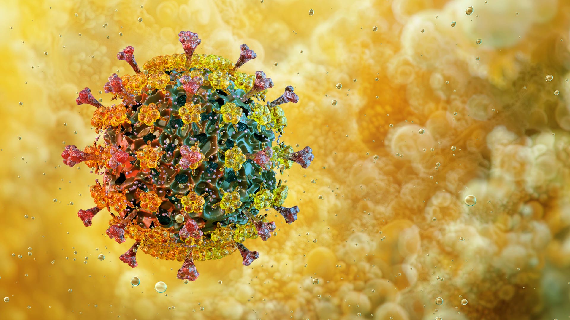 Vogelgrippe-H5N1-Virus-erstmals-auf-Australiens-Festland