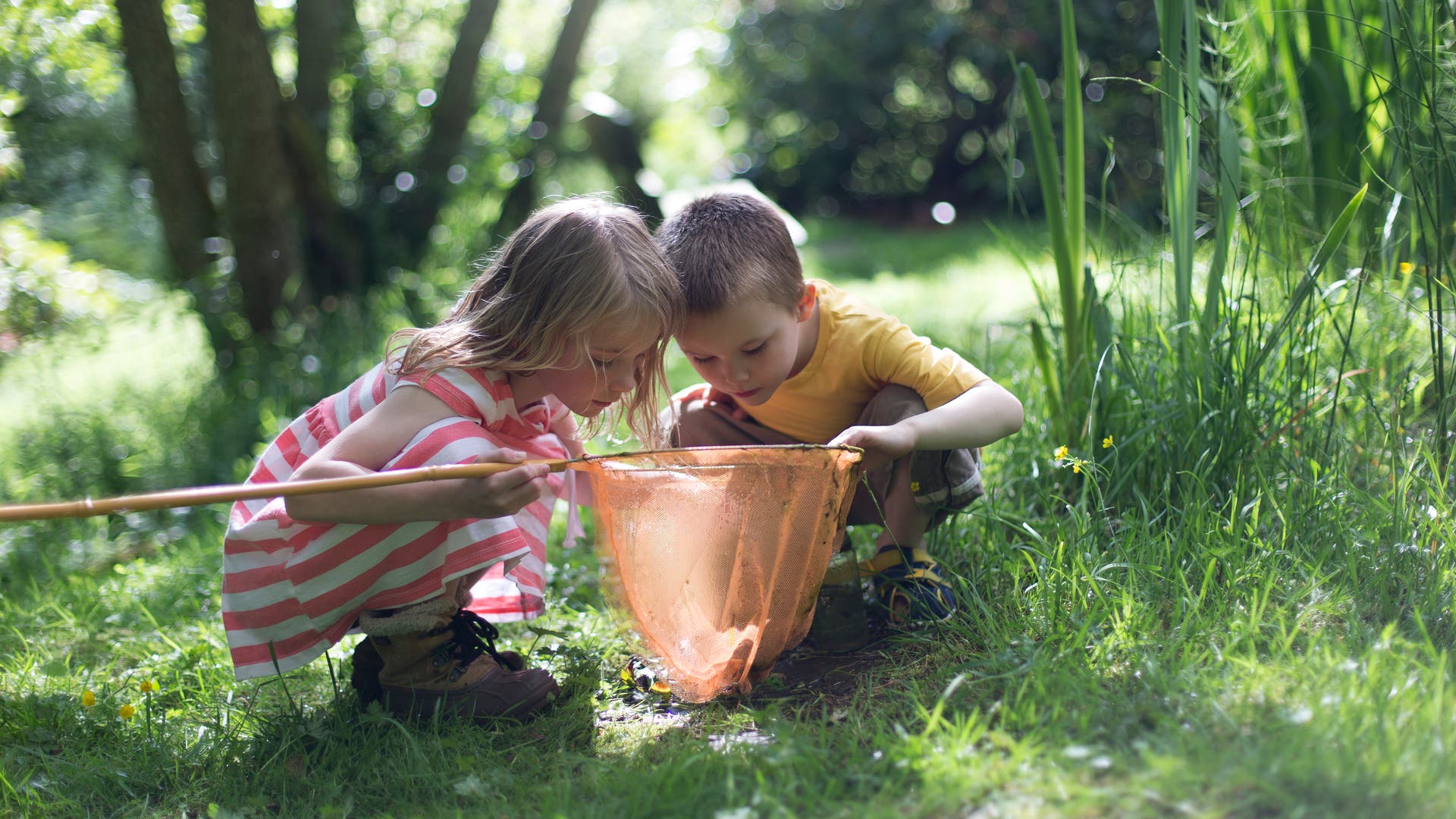 Wissenschaft-f-r-Kinder