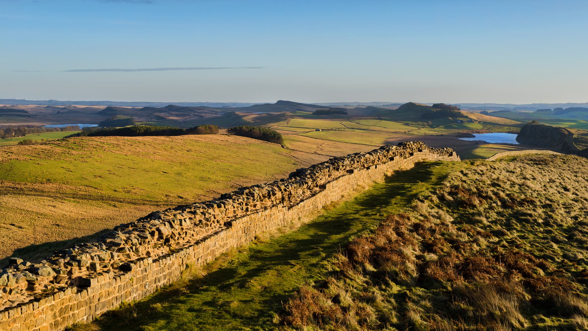 Parasiten-Was-die-alten-R-mer-am-Hadrianswall-plagte