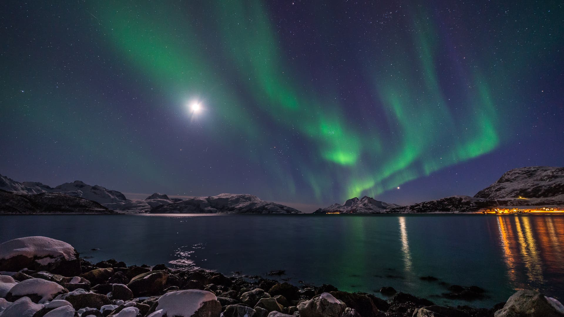 Arktische-kosysteme-Leben-in-der-Polarnacht