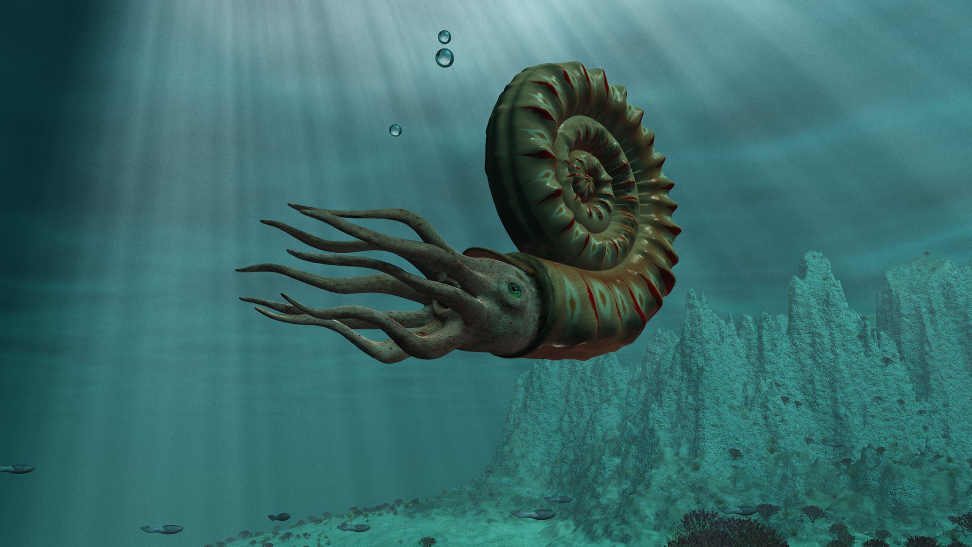 Massenaussterben-Ammoniten-berlebten-den-Dinosaurier-Killer