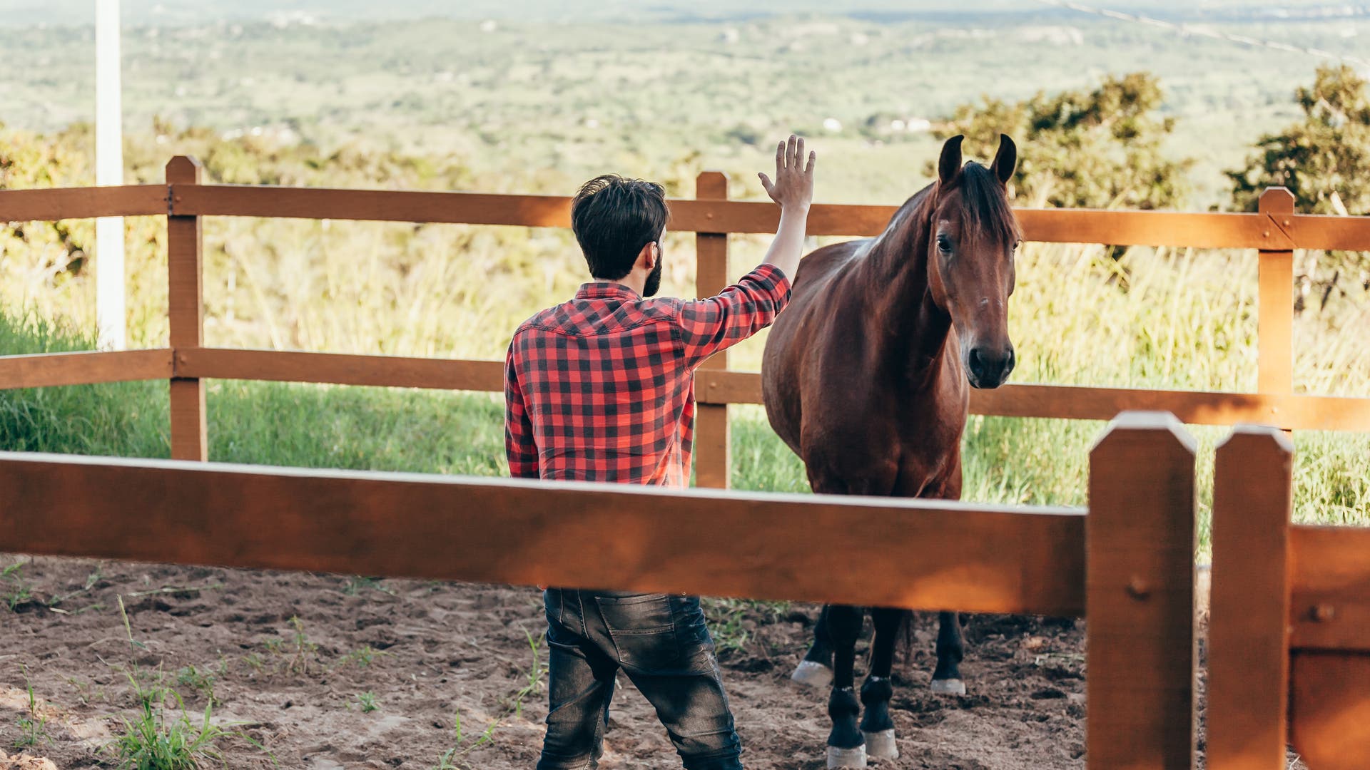 Geruchssinn-Pferde-k-nnen-deine-Angst-riechen