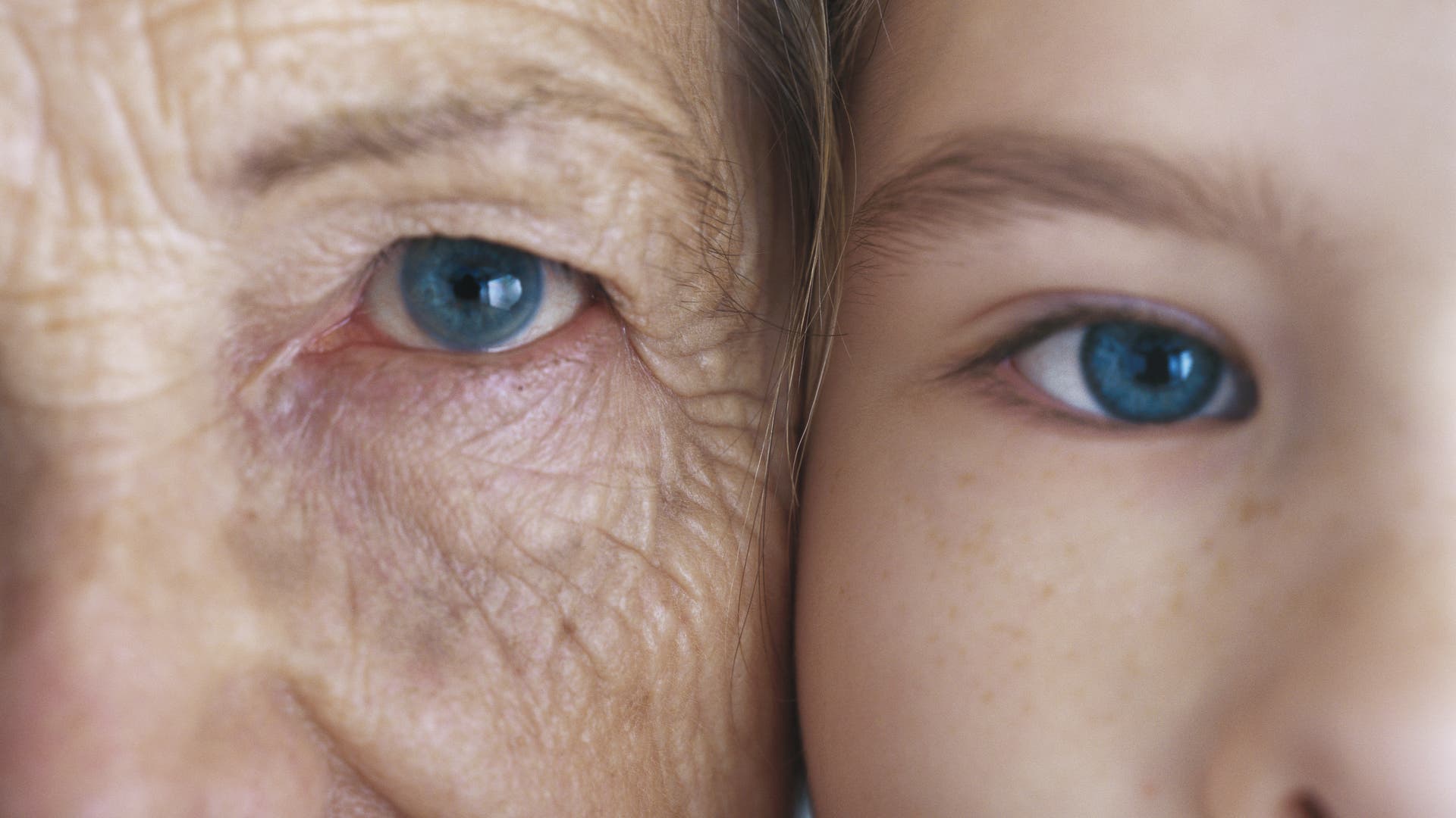 Die-gro-en-Fragen-der-Wissenschaft-K-nnen-wir-ewig-leben-Bj-rn-Schumacher-