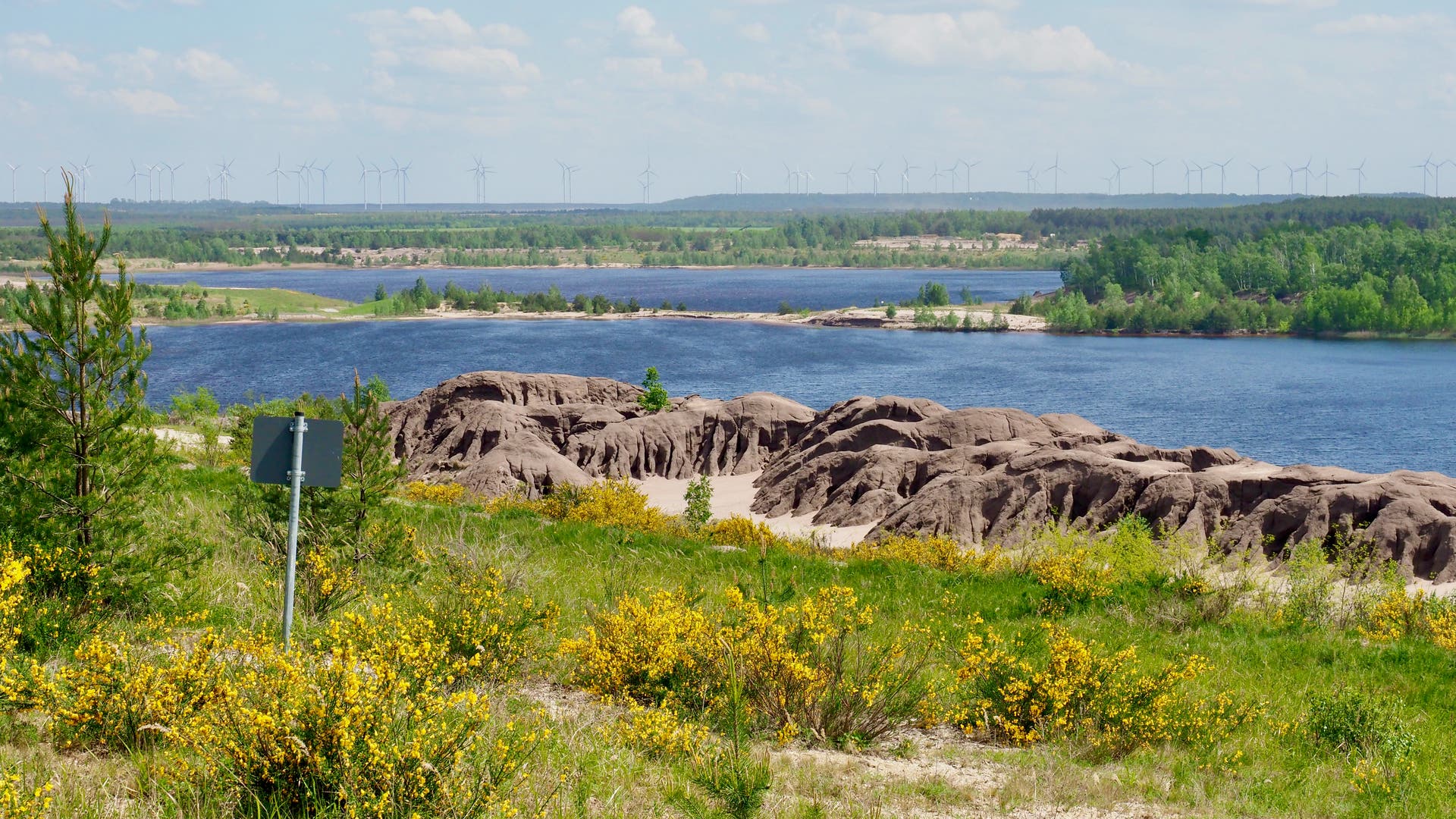 Lebensraum Bergbaufolgesee