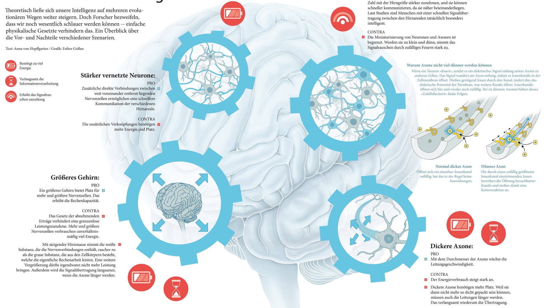 Infografik Die Grenzen der Intelligenz Spektrum der Wissenschaft
