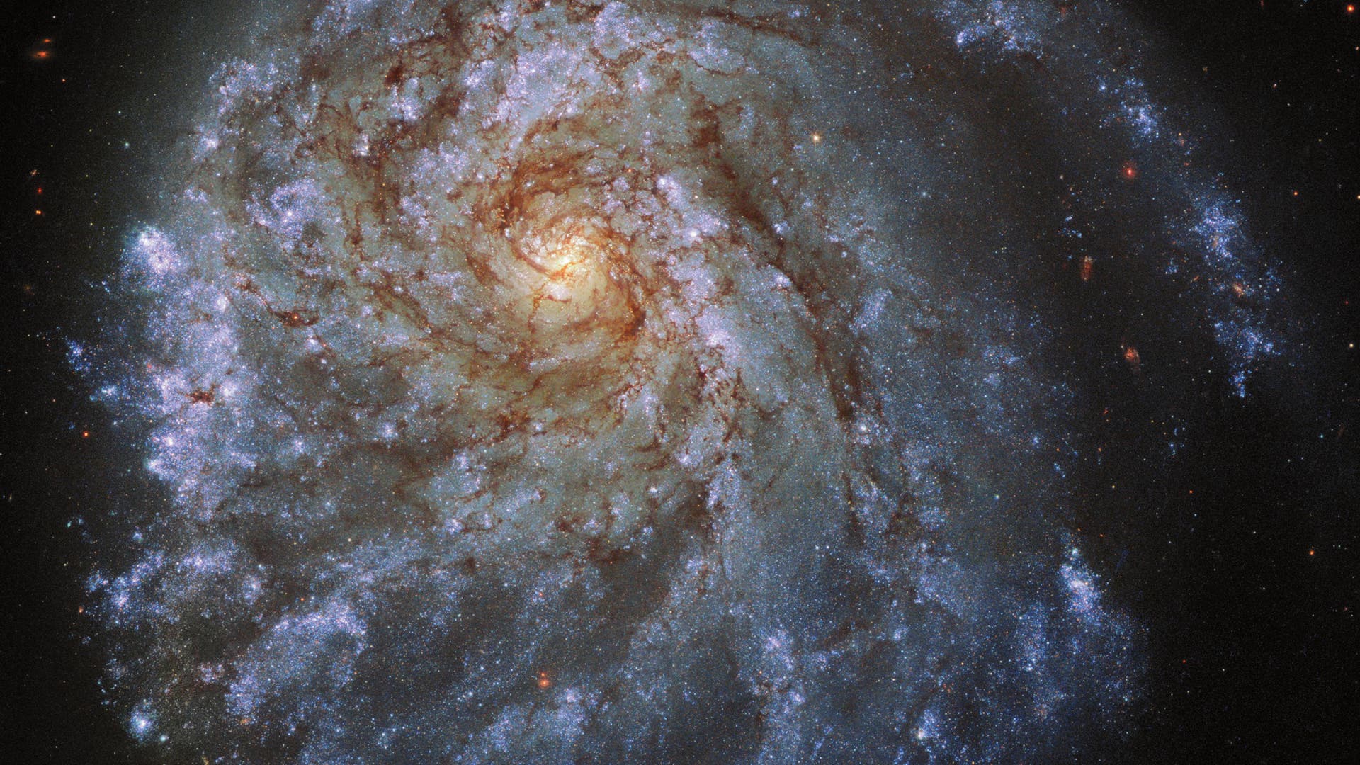 Asymmetrische Spiralgalaxie NGC 2276