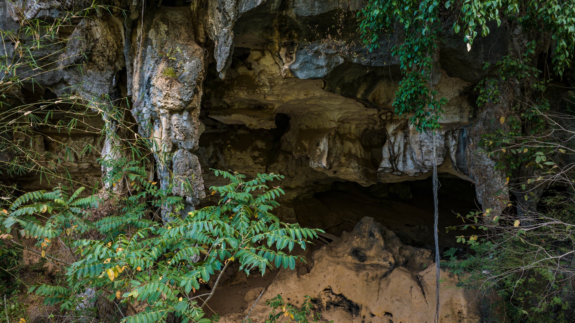 Kammer im Karstberg Bulu’ Sipong auf Sulawesi.