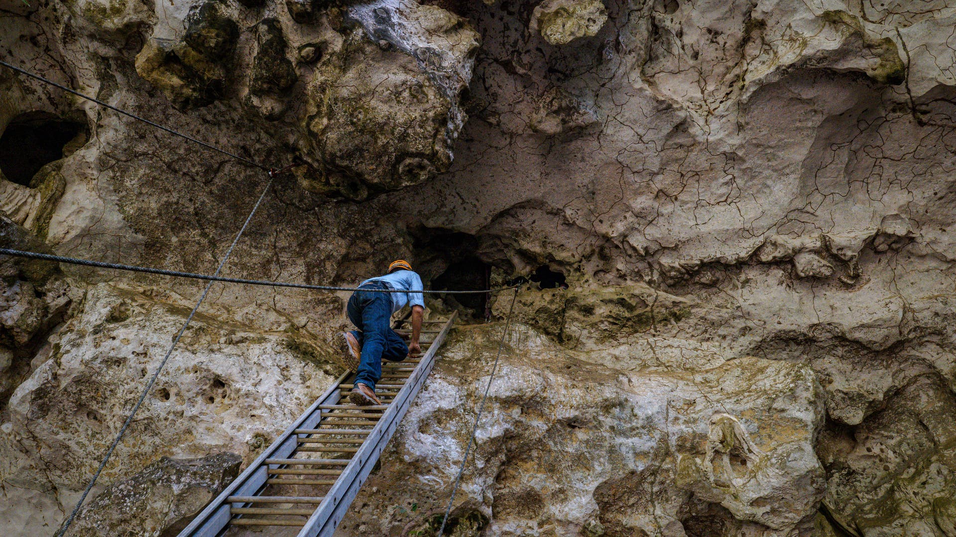 Archäologe Lebe steigt über eine Leiter in eine Höhle im Karstberg Bulu' Sipong 4.