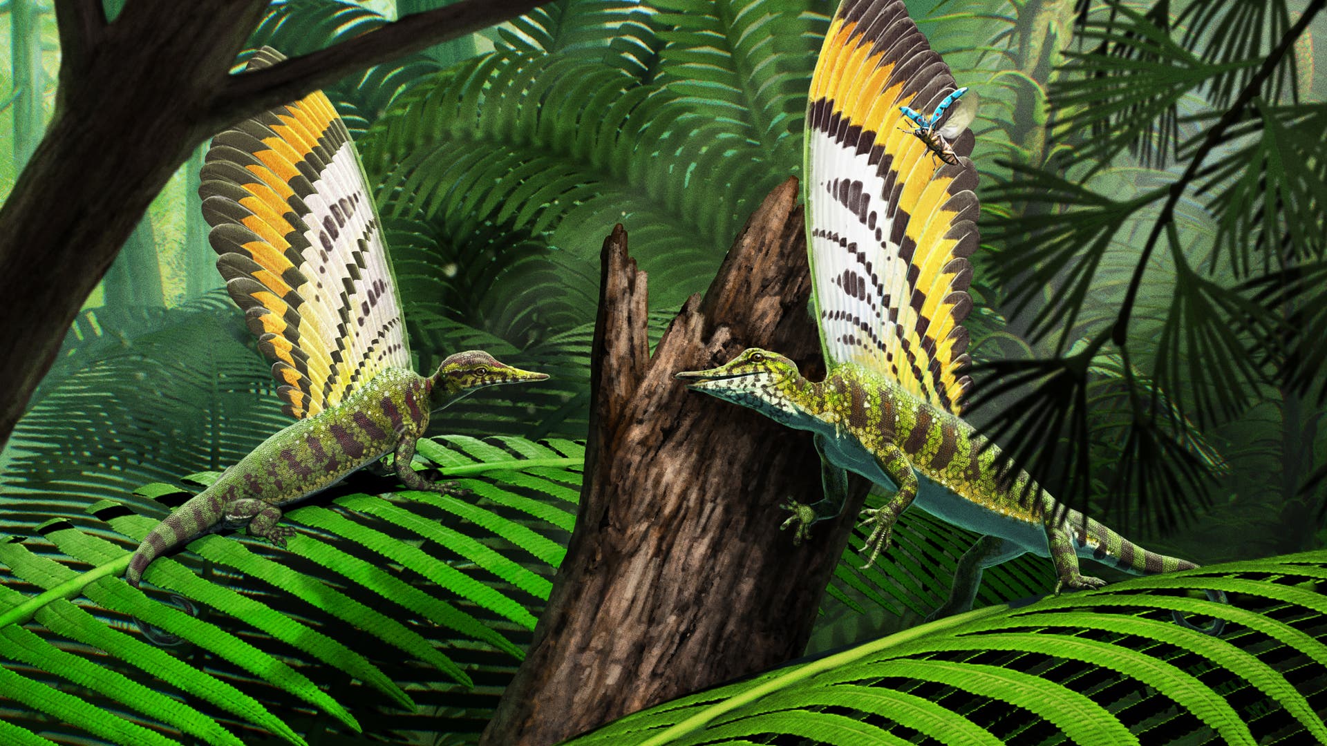 Evolution-Dieses-Reptil-hatte-keine-Federn-Aber-was-dann-