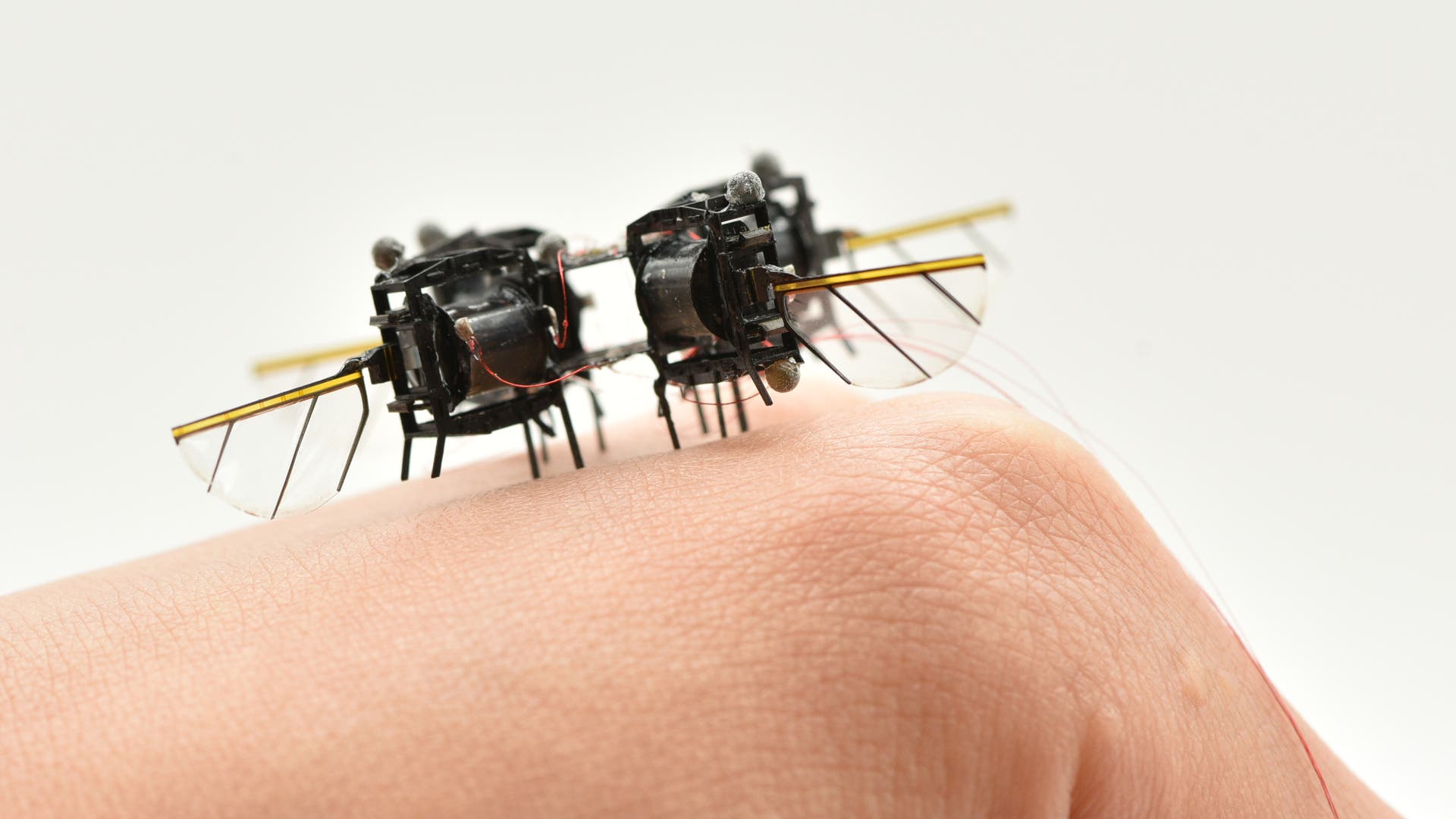Fliegende-Mikroroboter-Schnell-und-wendig-wie-Fluginsekten