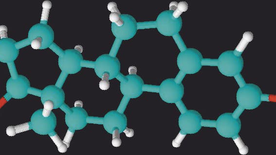 Hormone: Estrogene, Gestagene, Androgene - Spektrum der Wissenschaft
