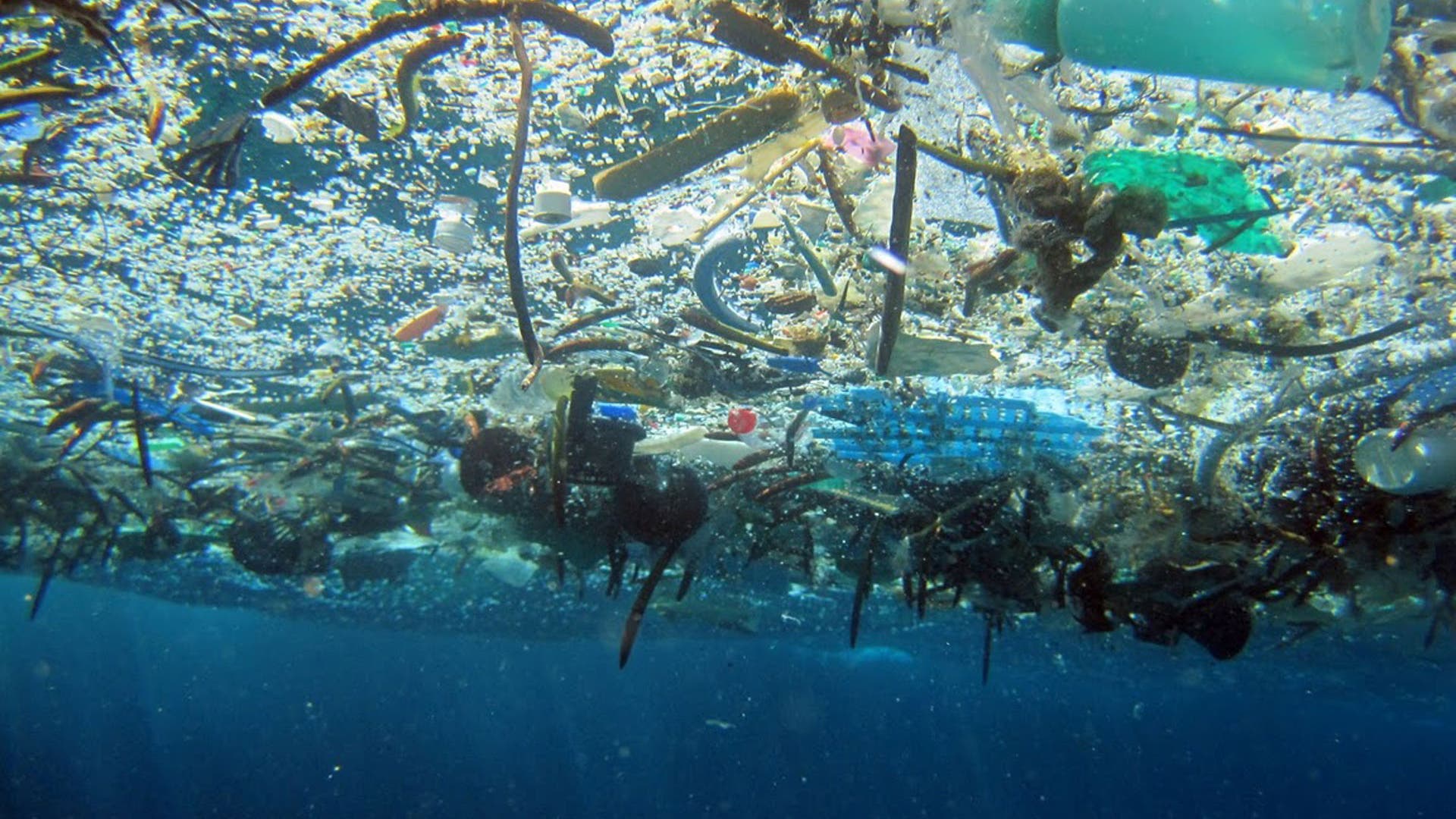 wohin verschwindet der Plastikmüll im Meer? - Spektrum der Wissenschaft