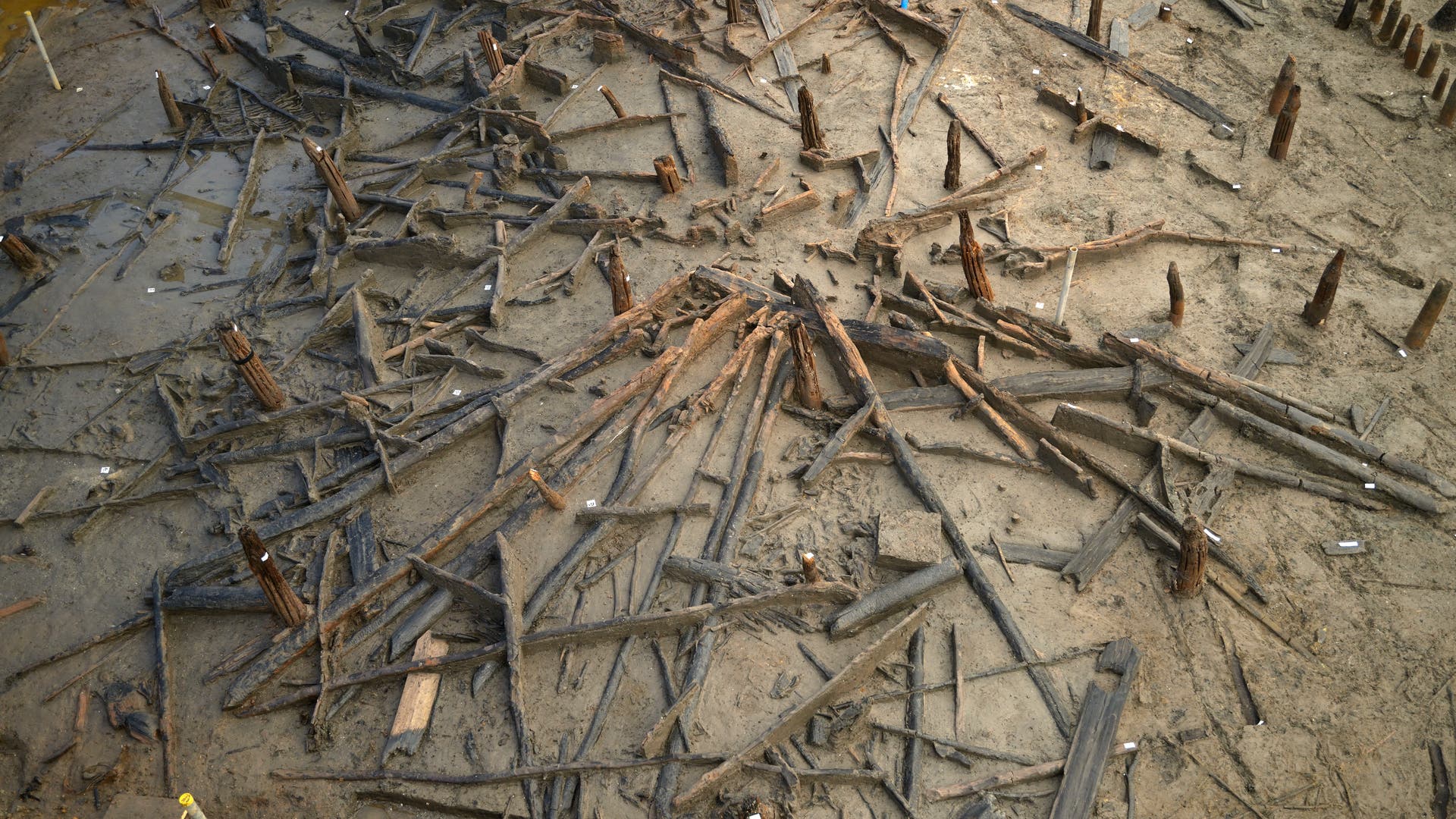 Archäologische Ausgrabungsstätte mit freigelegten Holzstrukturen und Pfählen im Boden. Die Überreste waren Teil einer Pfahlbauhütte. Der Boden ist schlammig und es sind mehrere nummerierte Markierungen sichtbar, die zur Identifizierung der Fundstücke dienen.