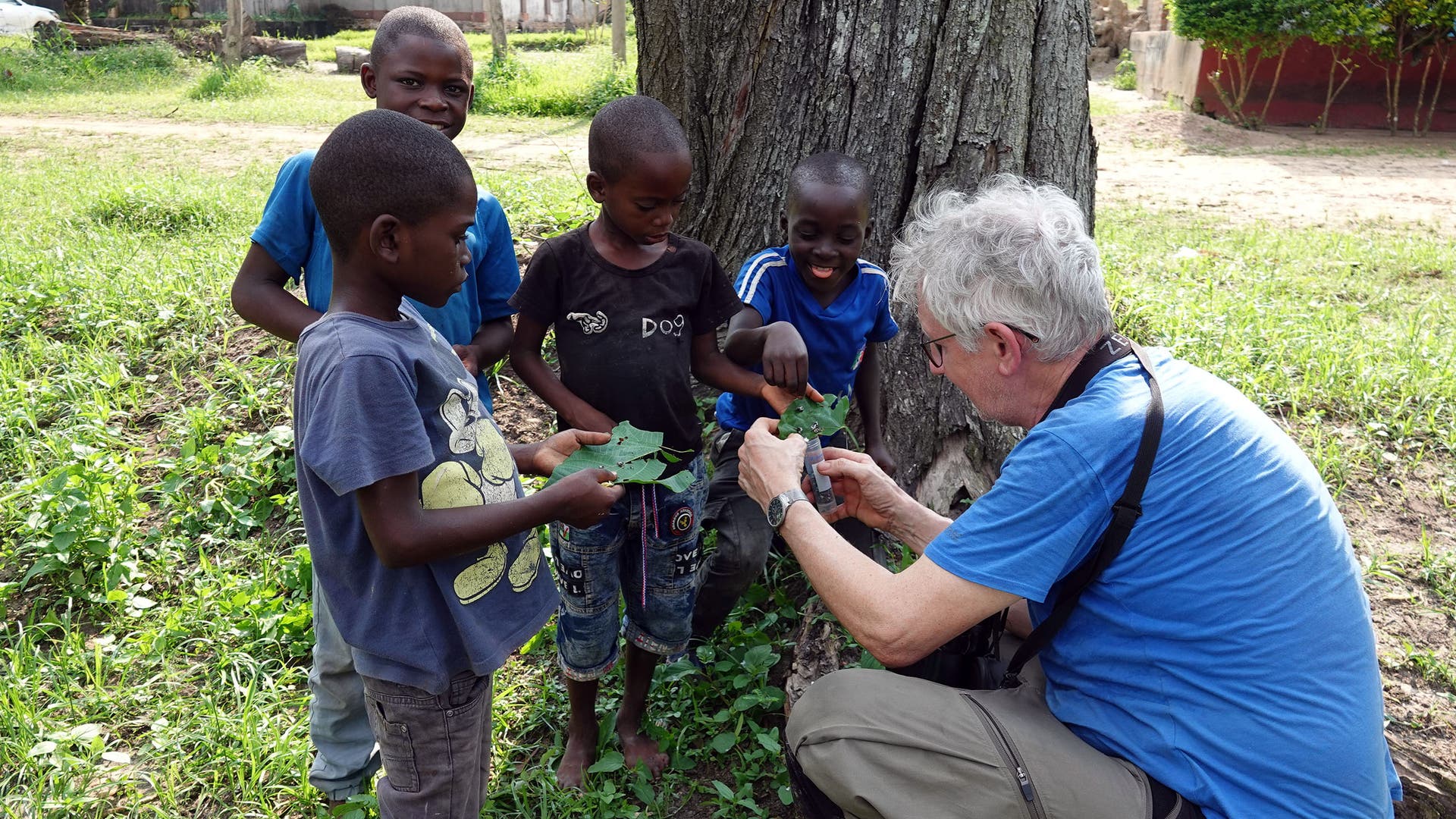 Jens Hering in einem blauen T-Shirt kniet neben einem Baum, neben ihm vier Kinder. Auf Blättern haben sie Proben gesammelt, die Hering in ein Röhrchen füllt. Im Hintergrund sind ein altes Gebäude und ein blauer Zaun zu sehen. Die Szene spielt sich auf einer grünen Wiese ab.