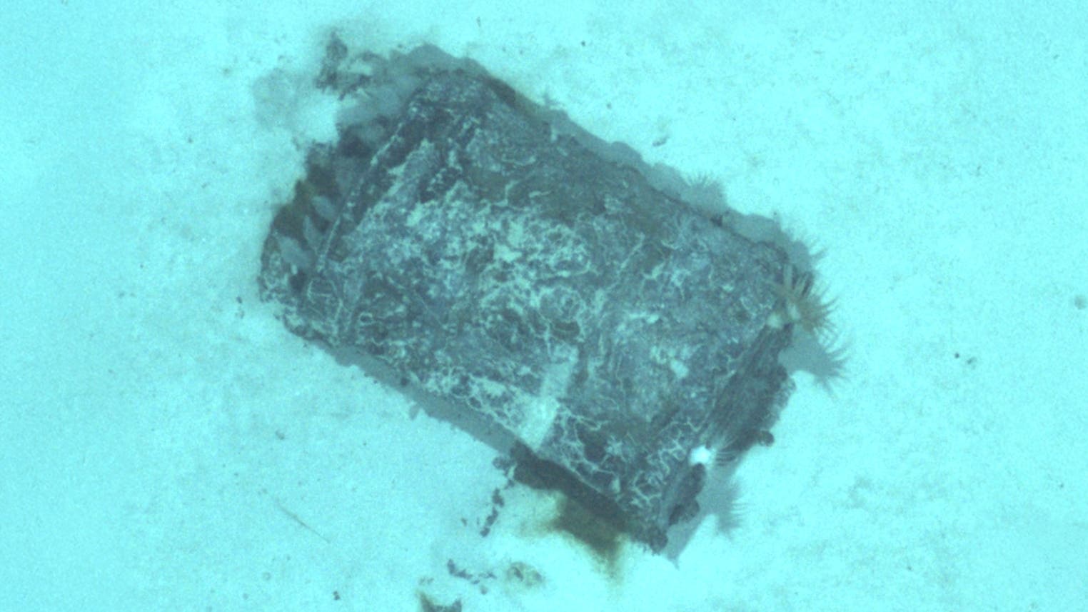 Atomm-ll-im-Atlantik-Eigentlich-sollten-die-F-sser-nicht-mehr-da-sein-