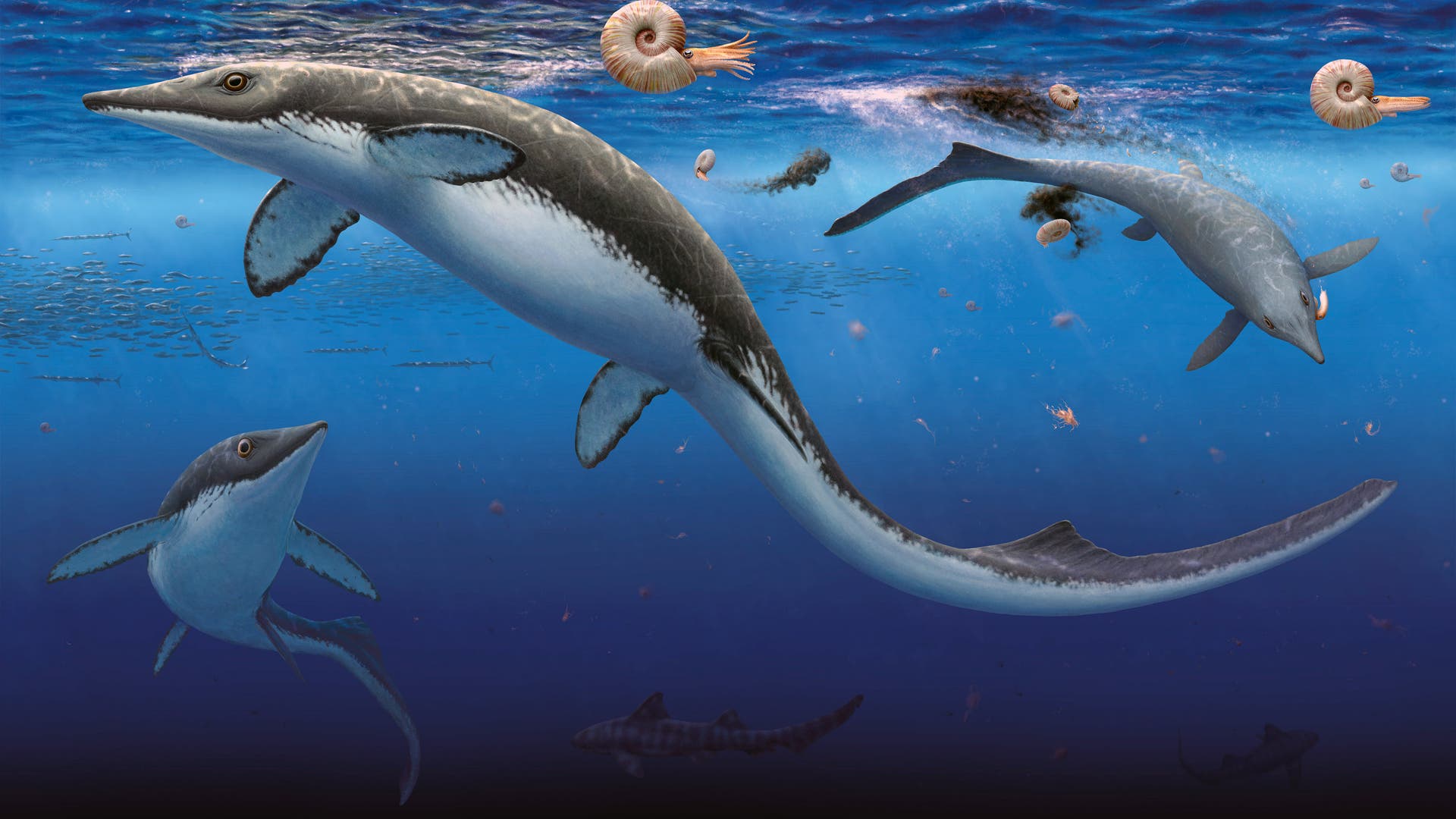 Pal-ontologie-ltester-Friedhof-der-Meeressaurier-gefunden