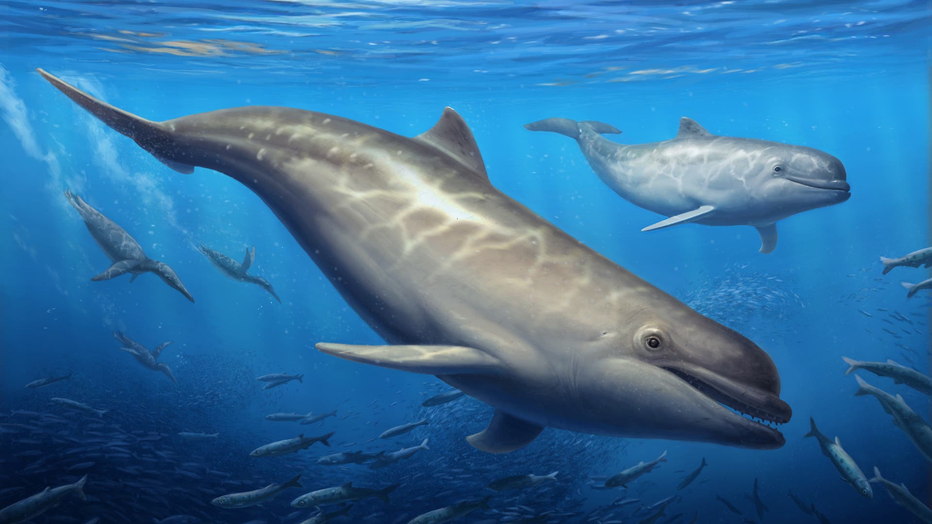 De voorouders van dolfijnen hadden vreemde tanden