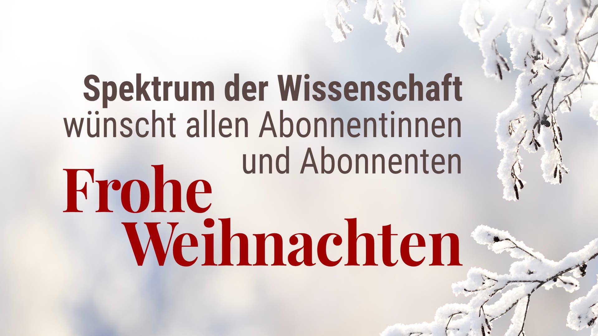 Frohe Weihnachten für alle