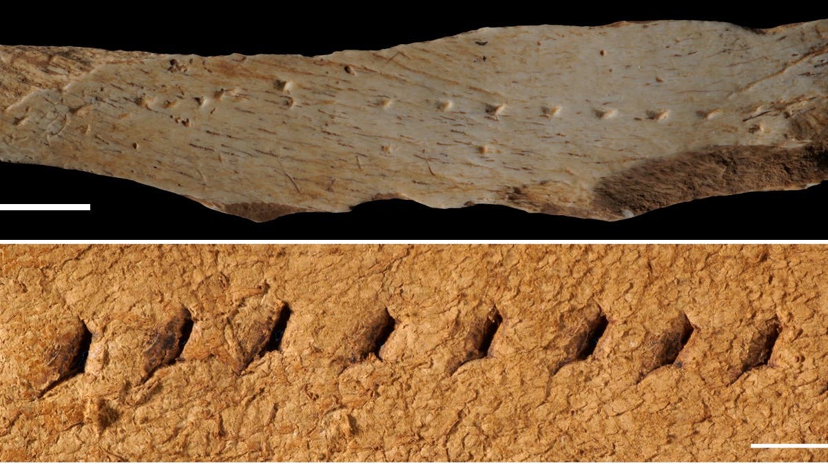 Paleolithicum: botten hebben mogelijk geholpen bij de verwerking van leer