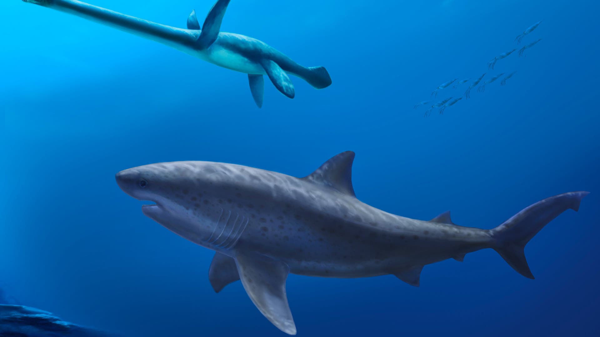 pal-ontologie-riesenhai-beherrschte-noch-vor-megalodon-das-meer