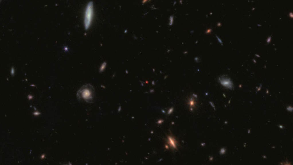 Little-Red-Dots-Stecken-hinter-den-mysteri-sen-kleinen-roten-Punkten-Schwarze-L-cher-die-im-Verborgenen-wachsen-