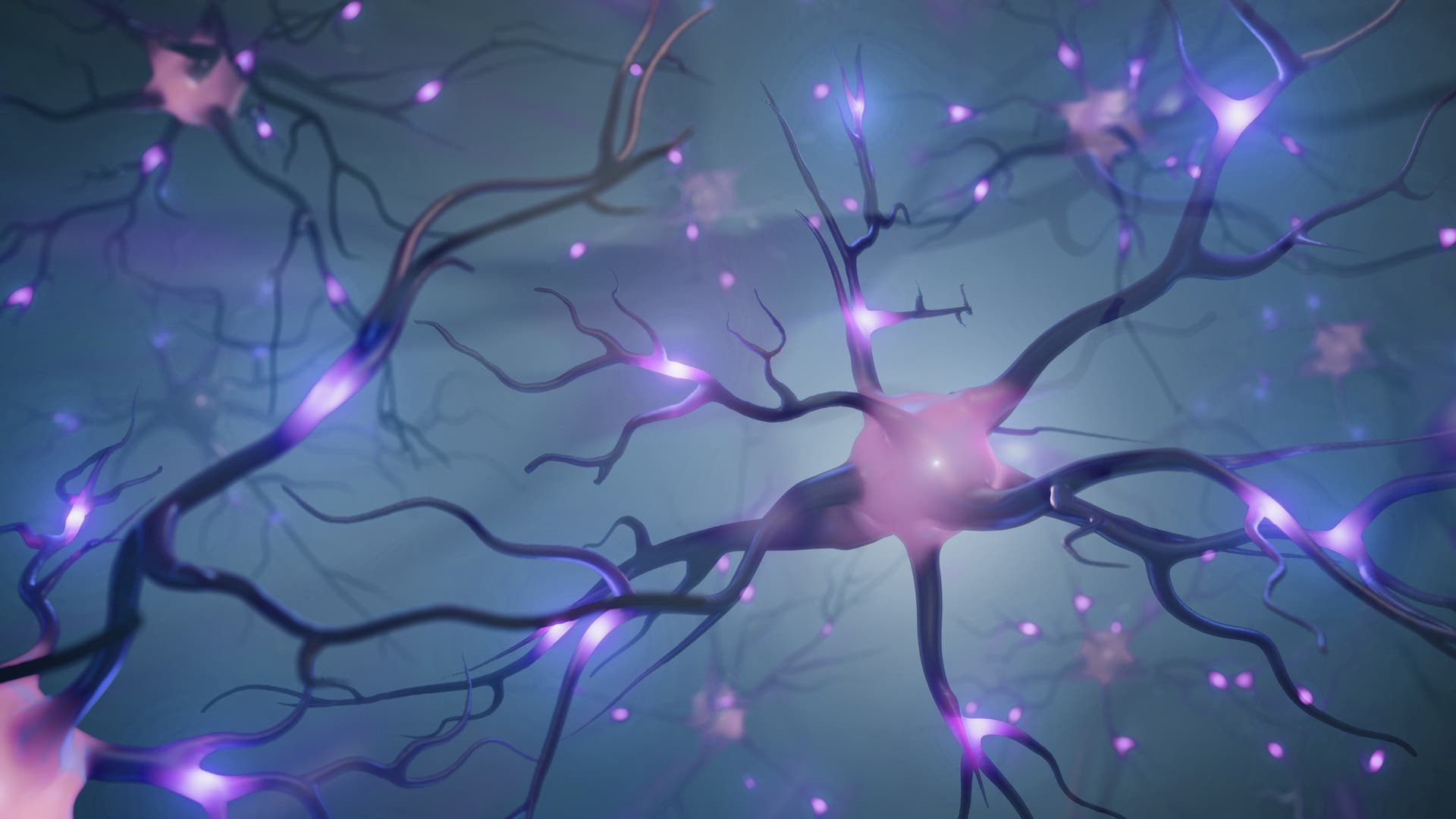 Tiefenhirnstimulation-Ein-Hirnschrittmacher-bei-Parkinson