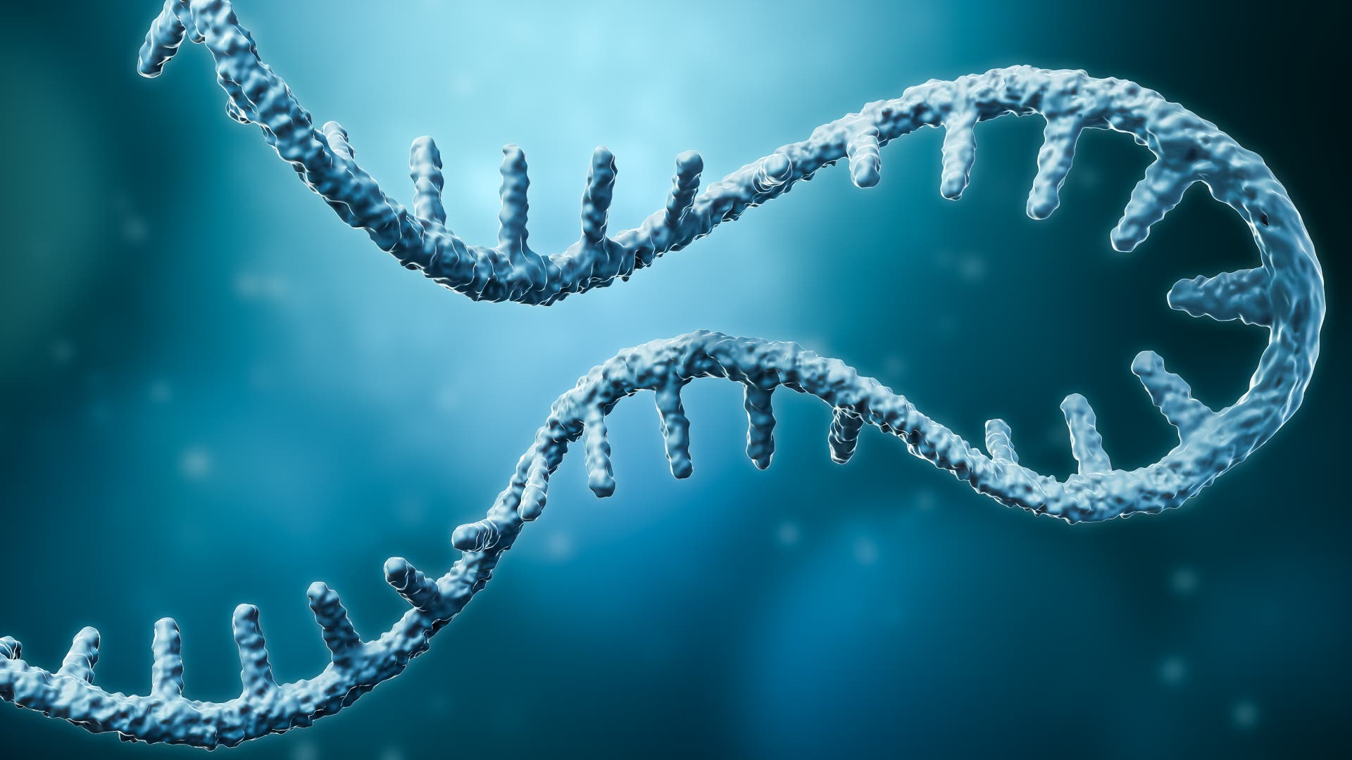 mRNA research: How our cells learn to defeat cancer