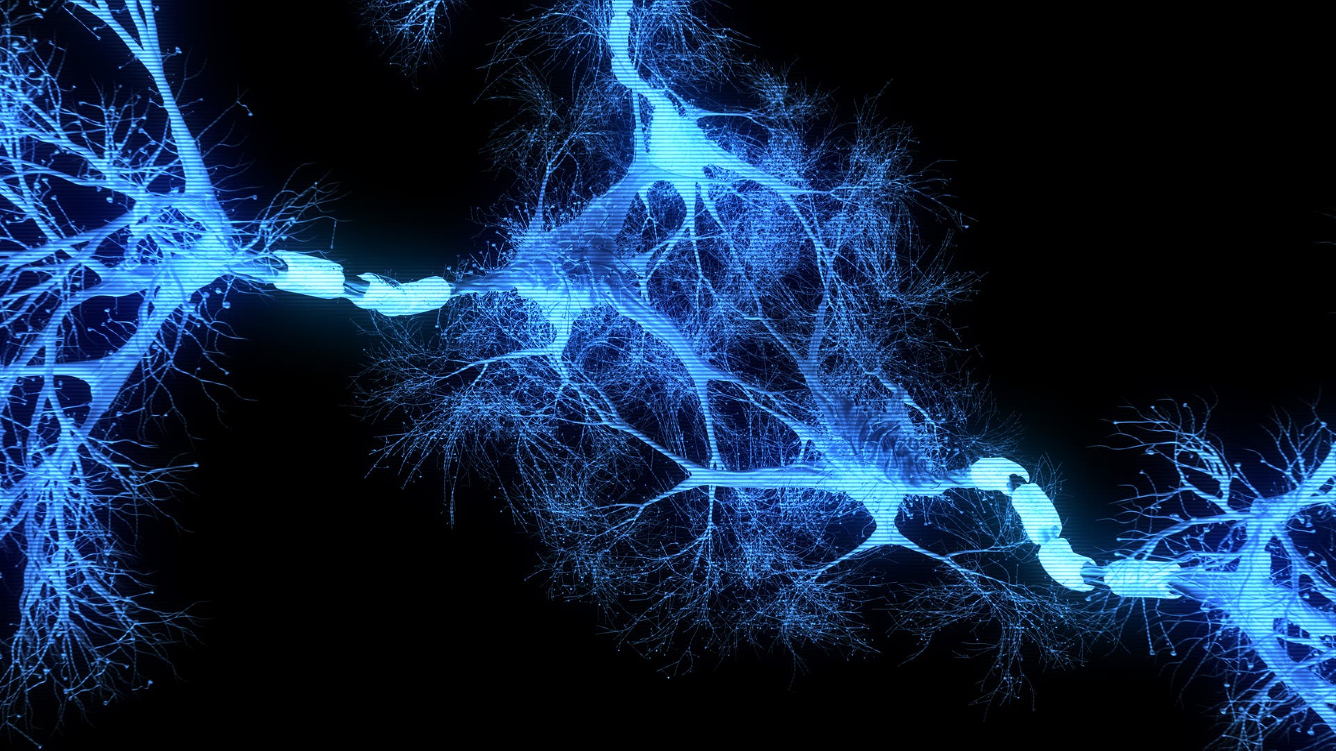 Las neuronas se regeneran