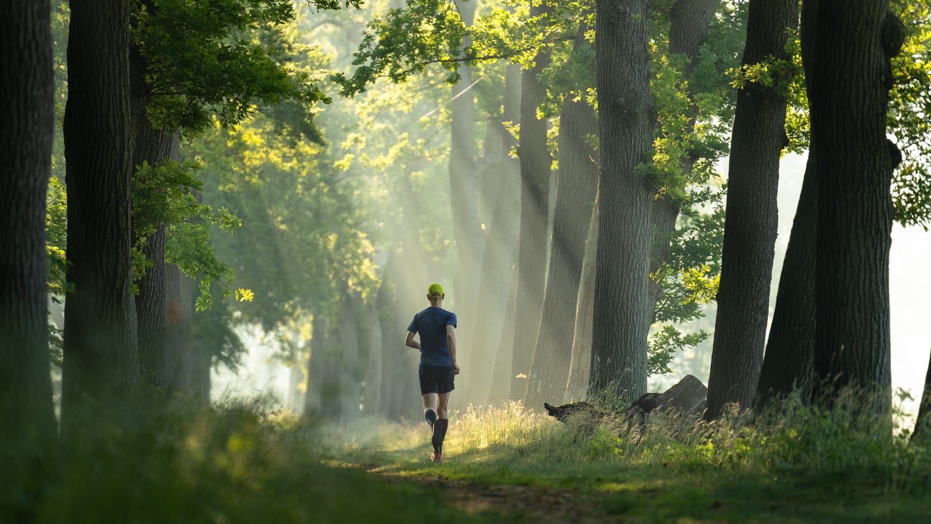 Hardlopen, wandelen en wandelen: maakt hardlopen je slim?